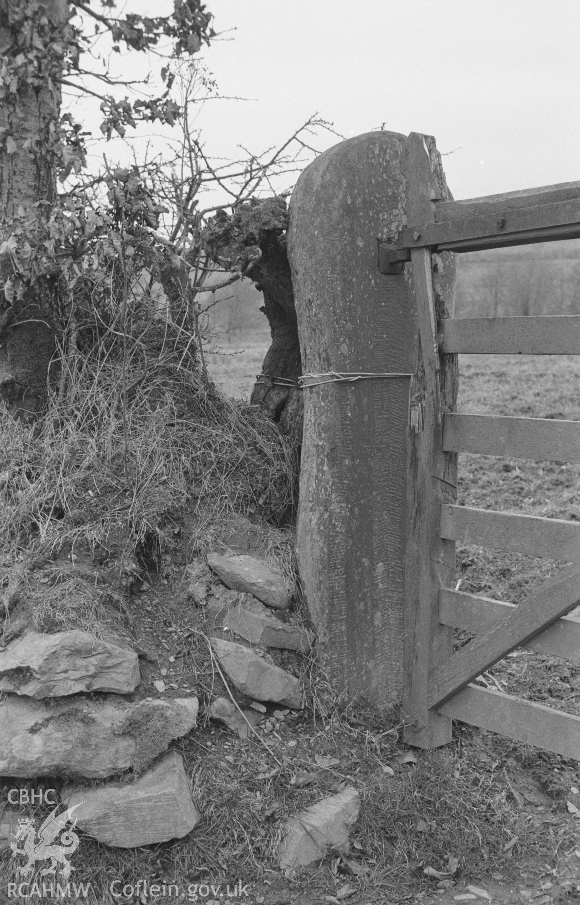 Digital copy of a black and white negative showing view of decorated stone gate-post by Egair Hendy farm, Blaenpennal. Photographed in March 1964 by Arthur O. Chater from Grid Reference c. SN 635 640.