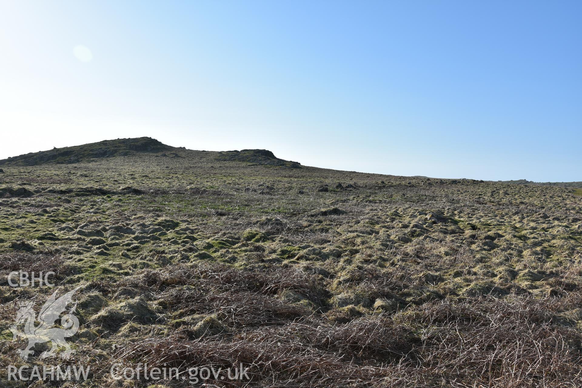 Low field boundaries of Late Bronze Age character within the Wick field system on Skomer Island. View of boundary at SM 7070 806. Photographed in April 2018.