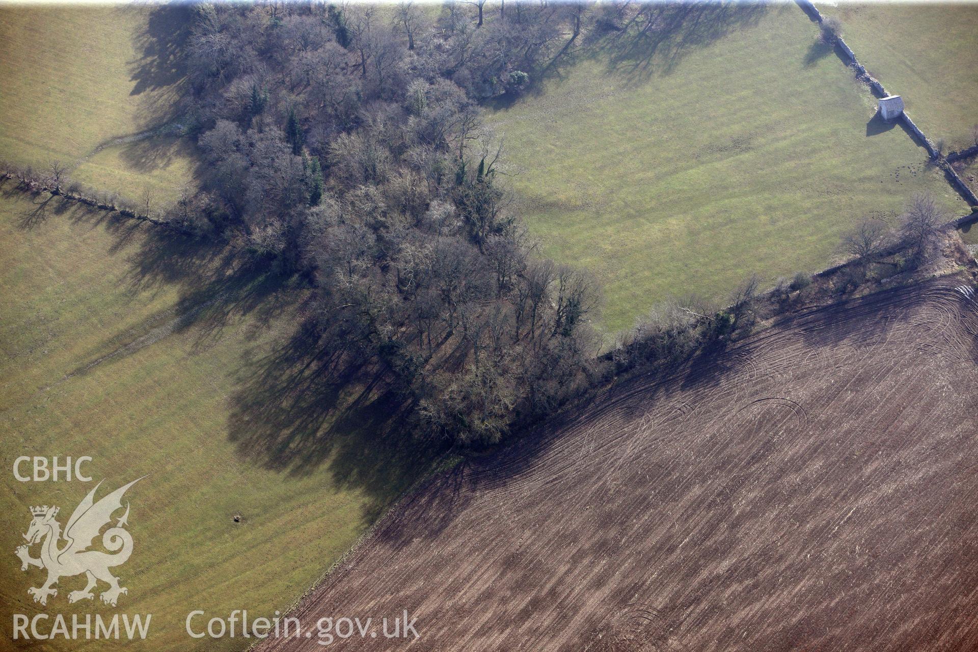 Pusgodlan moat, Henllan, north of Denbigh. Oblique aerial photograph taken during the Royal Commission?s programme of archaeological aerial reconnaissance by Toby Driver on 28th February 2013.