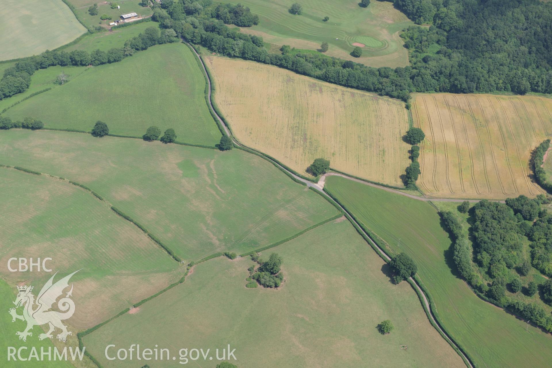 Cropmarks to the south-east of Grace Dieu Cistercian Abbey, west of Monmouth. Oblique aerial photograph taken during the Royal Commission?s programme of archaeological aerial reconnaissance by Toby Driver on 1st August 2013.