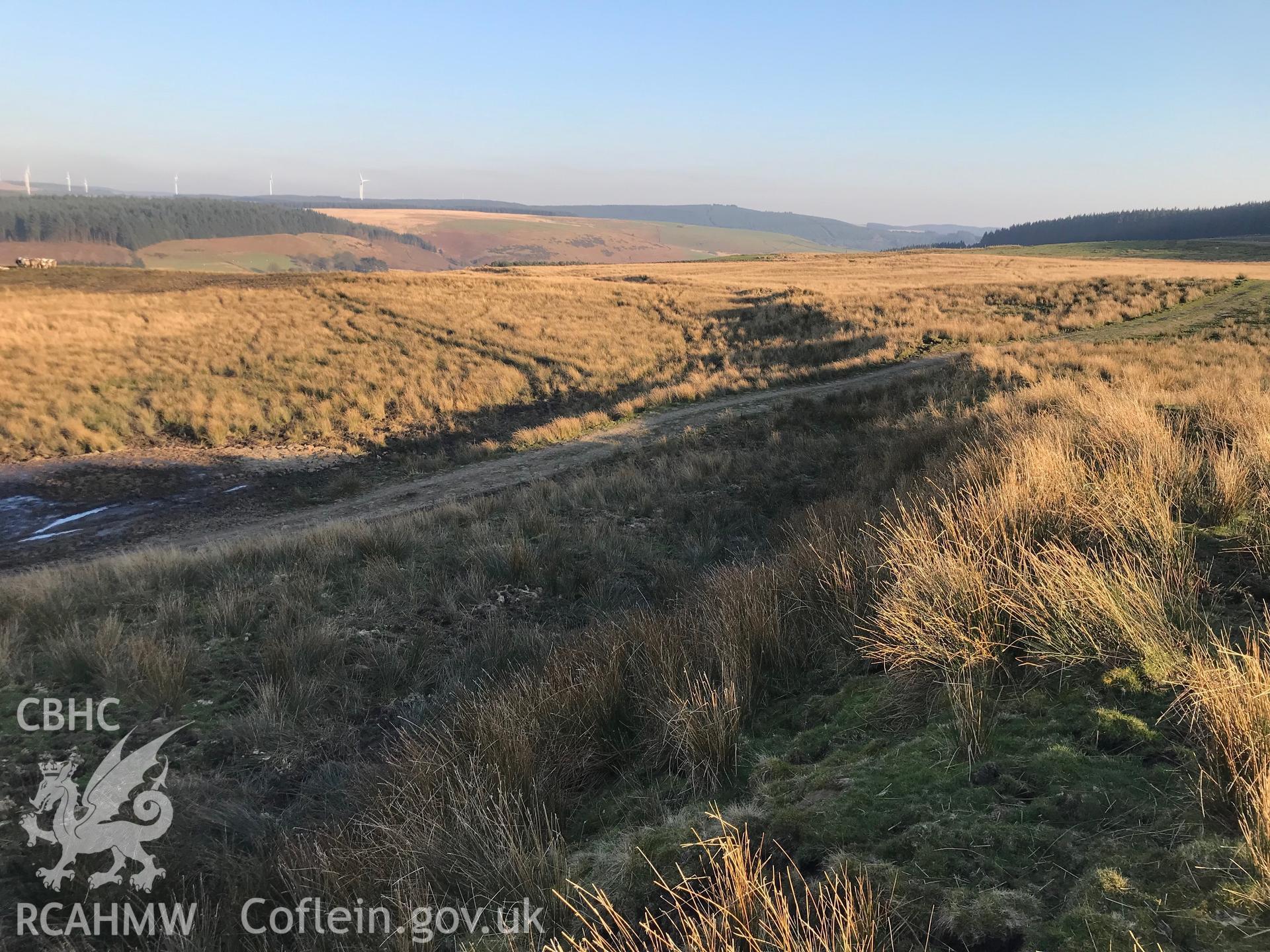 Colour photograph of Cefn Morfudd dyke, Tonna, east of Neath, taken by Paul R. Davis on 27th February 2019.