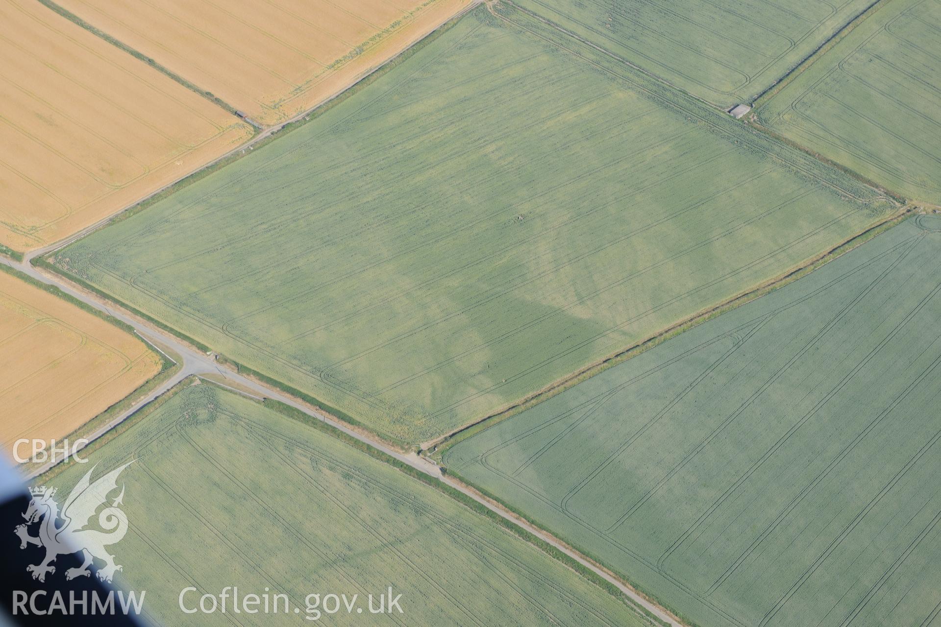 Cropmark of a longhouse ring ditch or circular enclosure, north east of Trefin, Pembrokeshire. Oblique aerial photograph taken during the Royal Commission?s programme of archaeological aerial reconnaissance by Toby Driver on 16th July 2013.