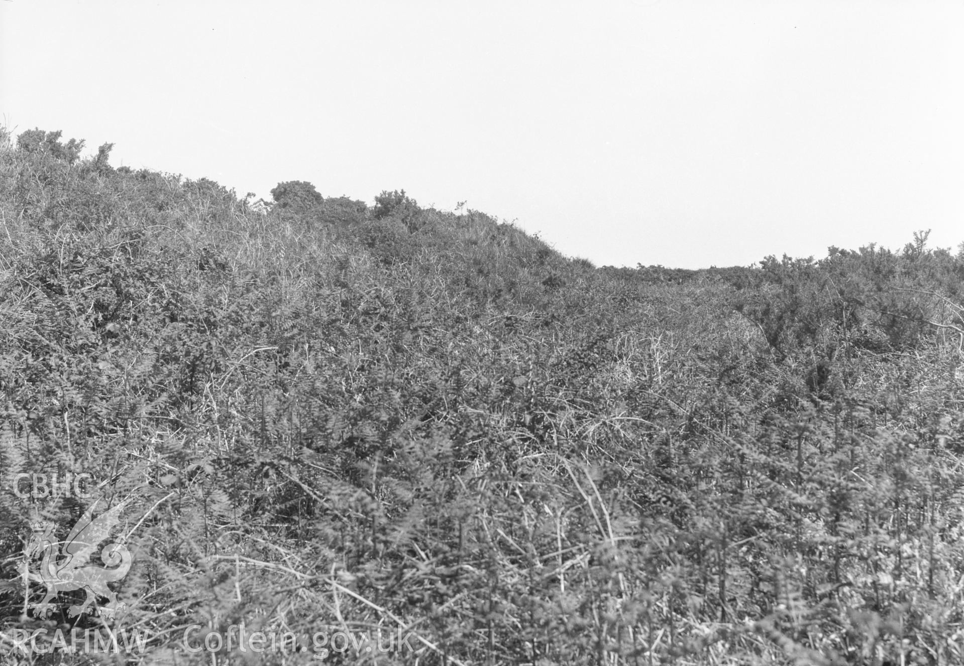 Digital copy of a nitrate negative showing Castell Hendre-wen.