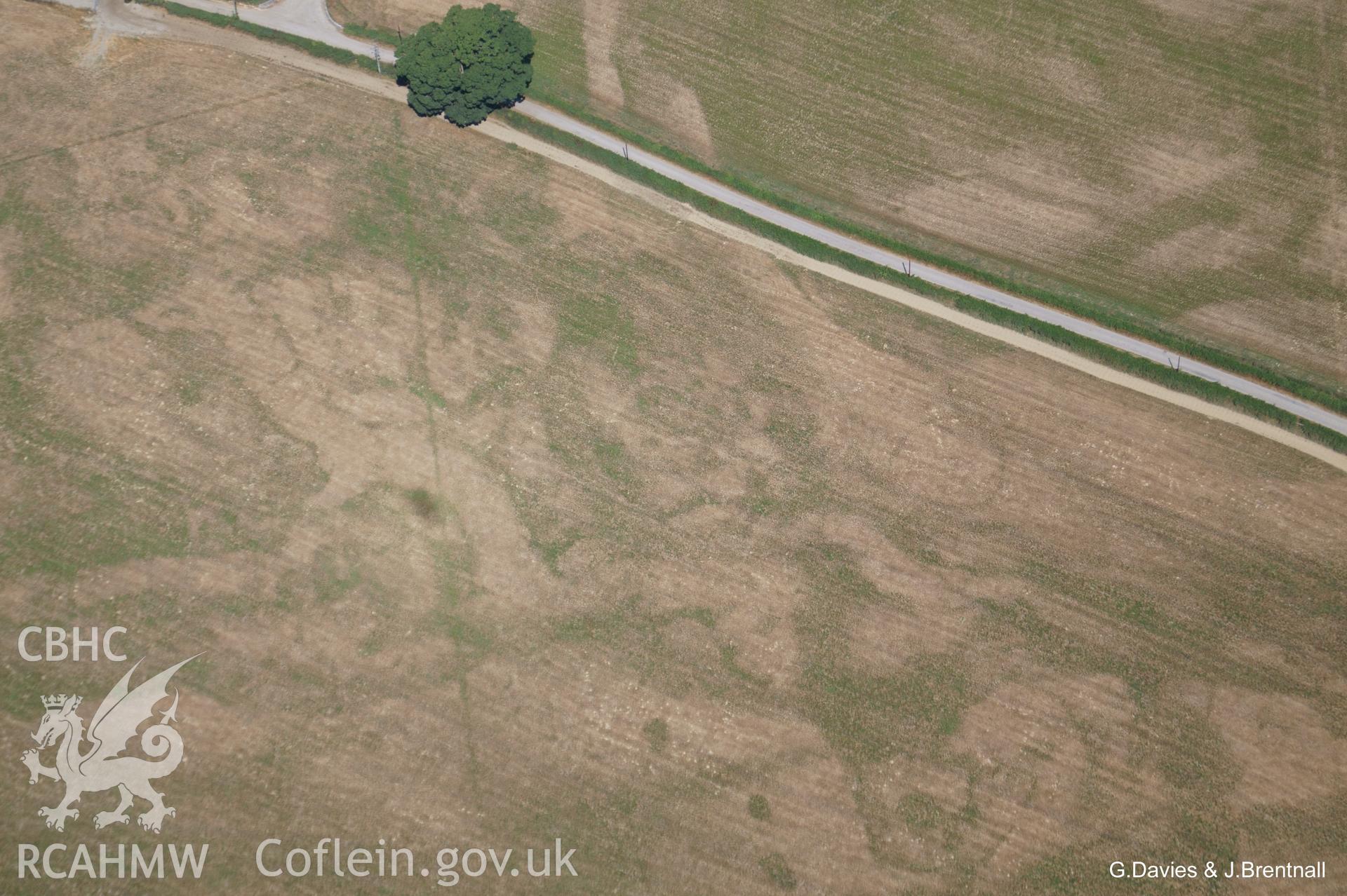 Aerial photograph showing small, irregular ring at Pwllcenawon Farm near Capel Bangor, taken by Glyn Davies and Jonathan Brentnall on 22nd July 2018, under drought conditions.