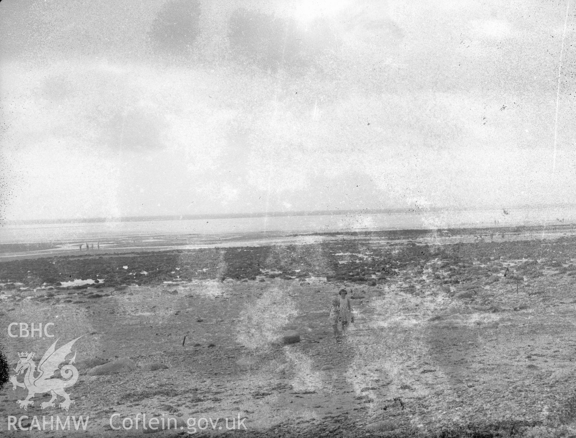 Digital copy of a nitrate negative showing submerged forest at Wiseman's Bridge, Pembrokeshire, taken by H. Collin Bowen c.1967.