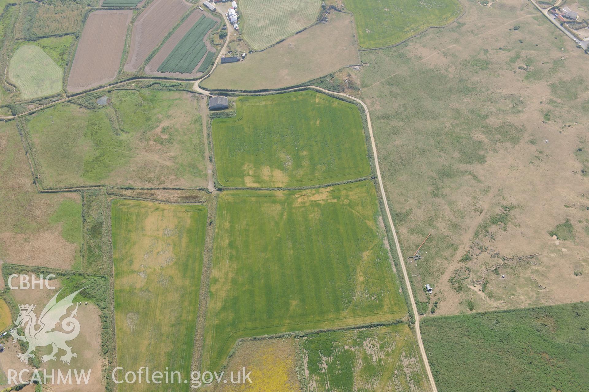 Parchmarks of possible township at Croes Phillip, St Davids. Oblique aerial photograph taken during the Royal Commission?s programme of archaeological aerial reconnaissance by Toby Driver on 16th July 2013.