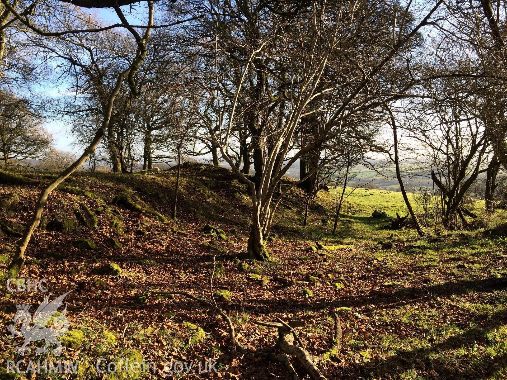 Photo showing Caer Licyn, taken by Paul R. Davis, December 2017.