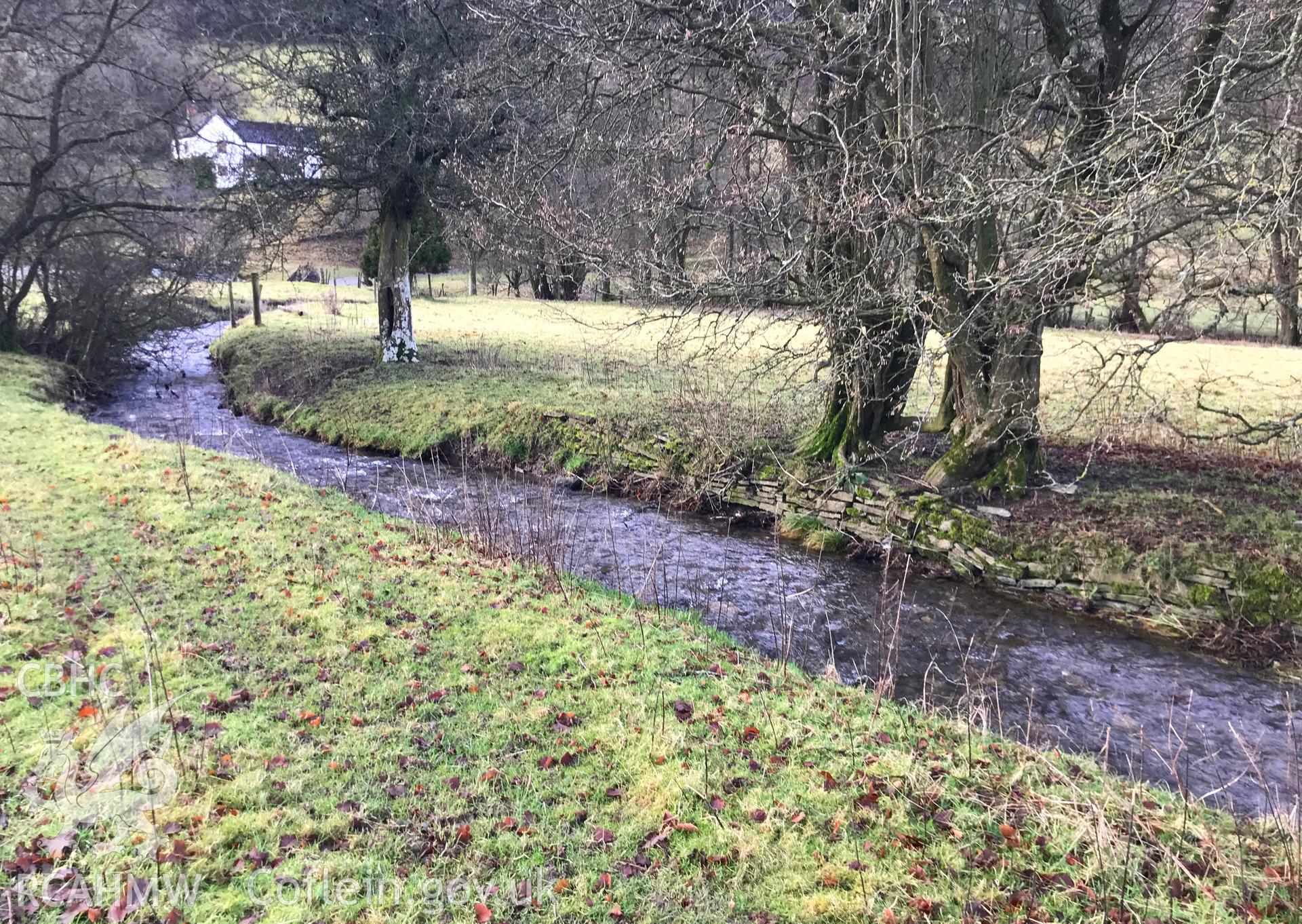 Digital colour photograph showing revetment of Mynachdy moat at Mynachdy possible monastic grange, Llangunllo, taken by Paul Davis on 11th January 2020.