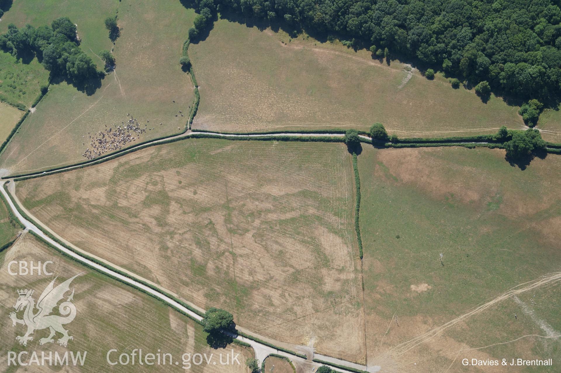 Aerial photograph of small, irregular ring at Pwllcenawon Farm, taken by Glyn Davies & Jonathan Brentnall 22/07/2018 under drought conditions. This is the original photograph. For modified version with archaeological features highlighted, see:BDC_02_06_03.