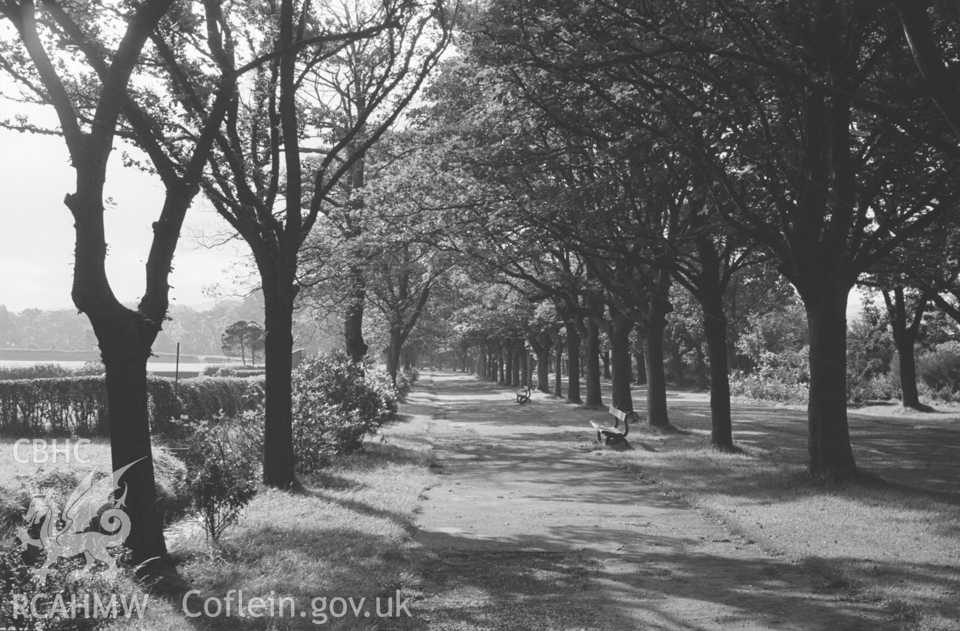 Digital copy of a black and white negative showing Plas Crug Avenue, Aberystwyth. Photographed by Arthur O. Chater in August 1967.
[Looking south east from Grid Reference SN 588 815]