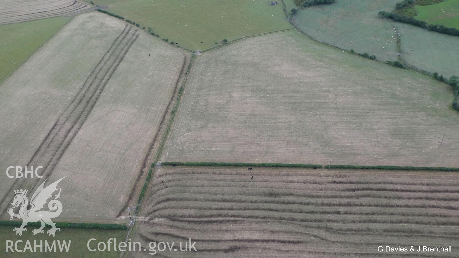 Aerial photograph of cropmarks south east of Ynysmaengwyn caravan park, taken by Glyn Davies & Jonathan Brentnall 16/07/2018 under drought conditions. Photograph is original. For modified version enhancing visibility of the archaeology, see: BDC_04_02_06.