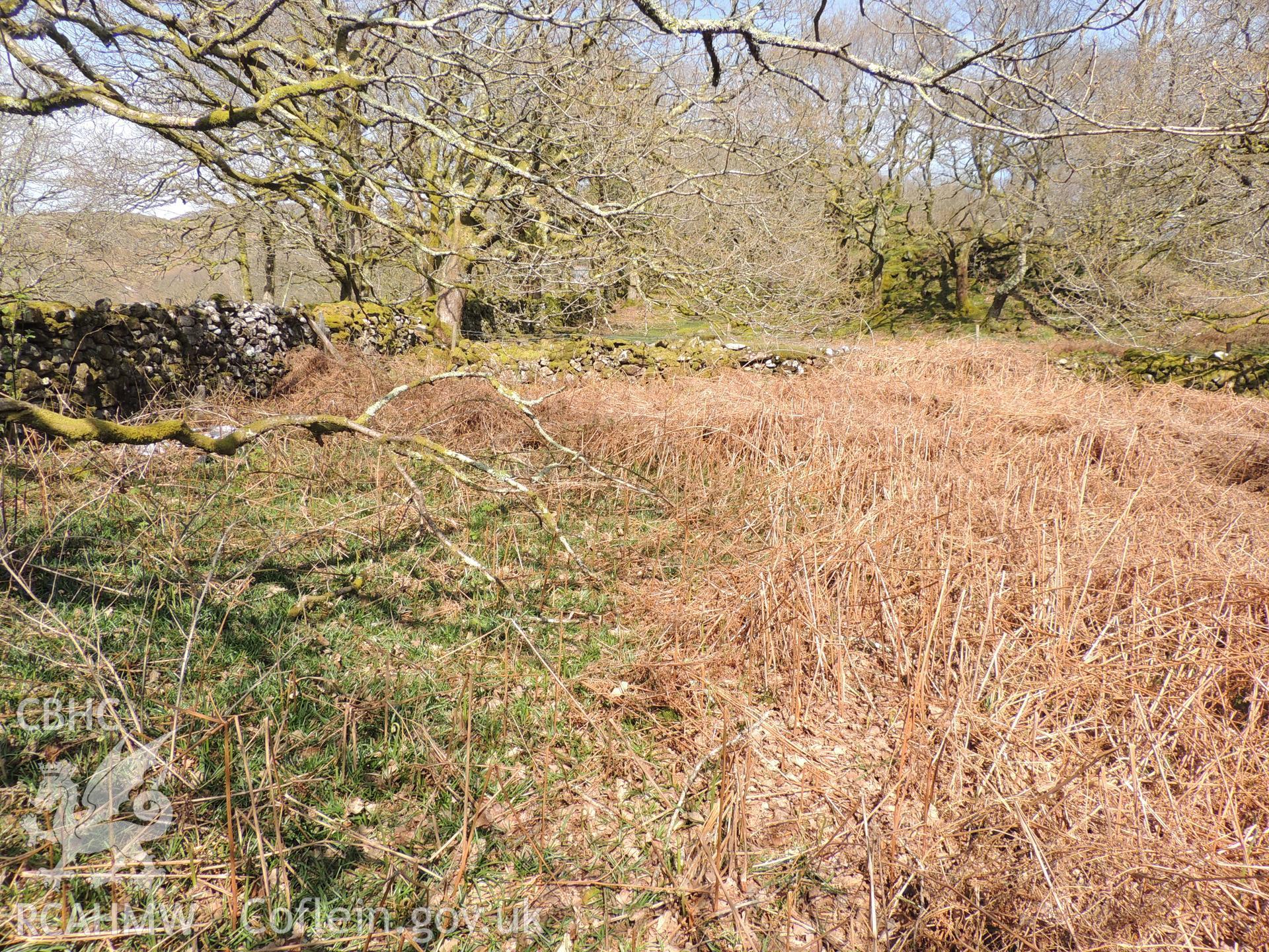 'View east from SH 62259 43994.' Photographed as part of desk based assessment and heritage impact assessment of a hydro scheme on the Afon Croesor, Brondanw Estate, Gwynedd. Produced by Archaeology Wales for Renewables First Ltd. 2018.