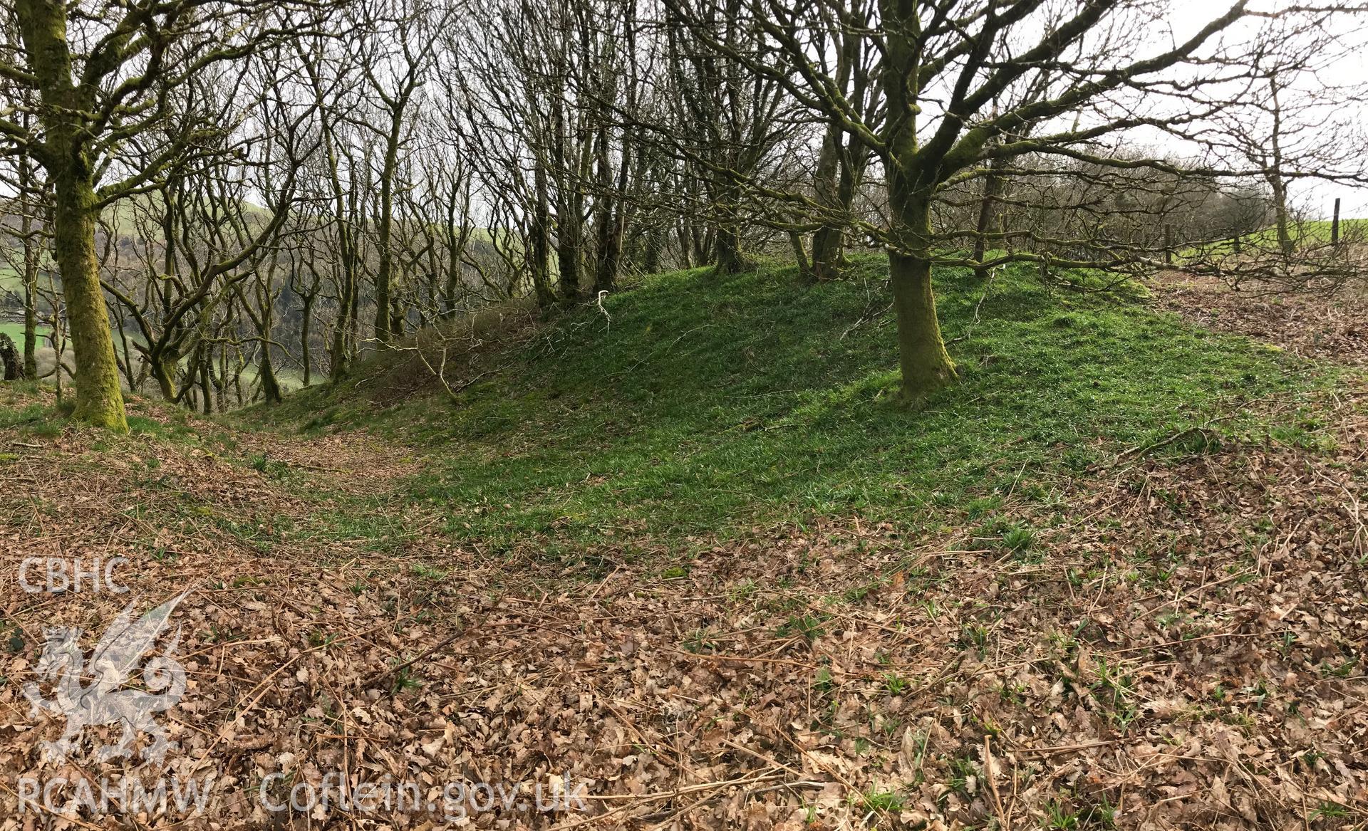 Colour photograph of Banc-y-Castell, north east of Goginan, Aberystwyth, taken by Paul R. Davis on 23rd March 2019.