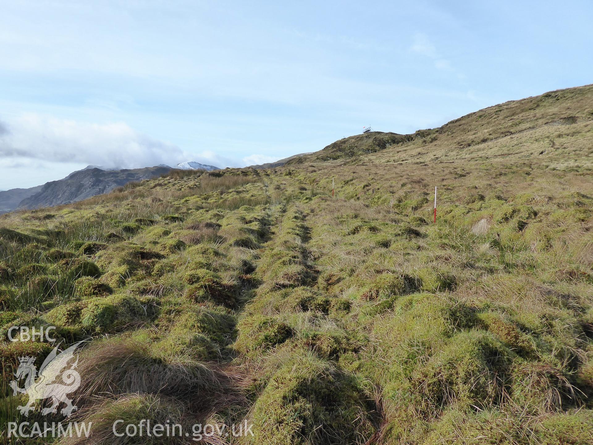 Rectangular depression, probable area of peat cutting. Photographed on 11th February 2019 as part of archaeological assessment of Antur Stiniog Downhill Cycle Tracks Extension, conducted by I. P. Brooks of Engineering Archaeological Services Ltd.