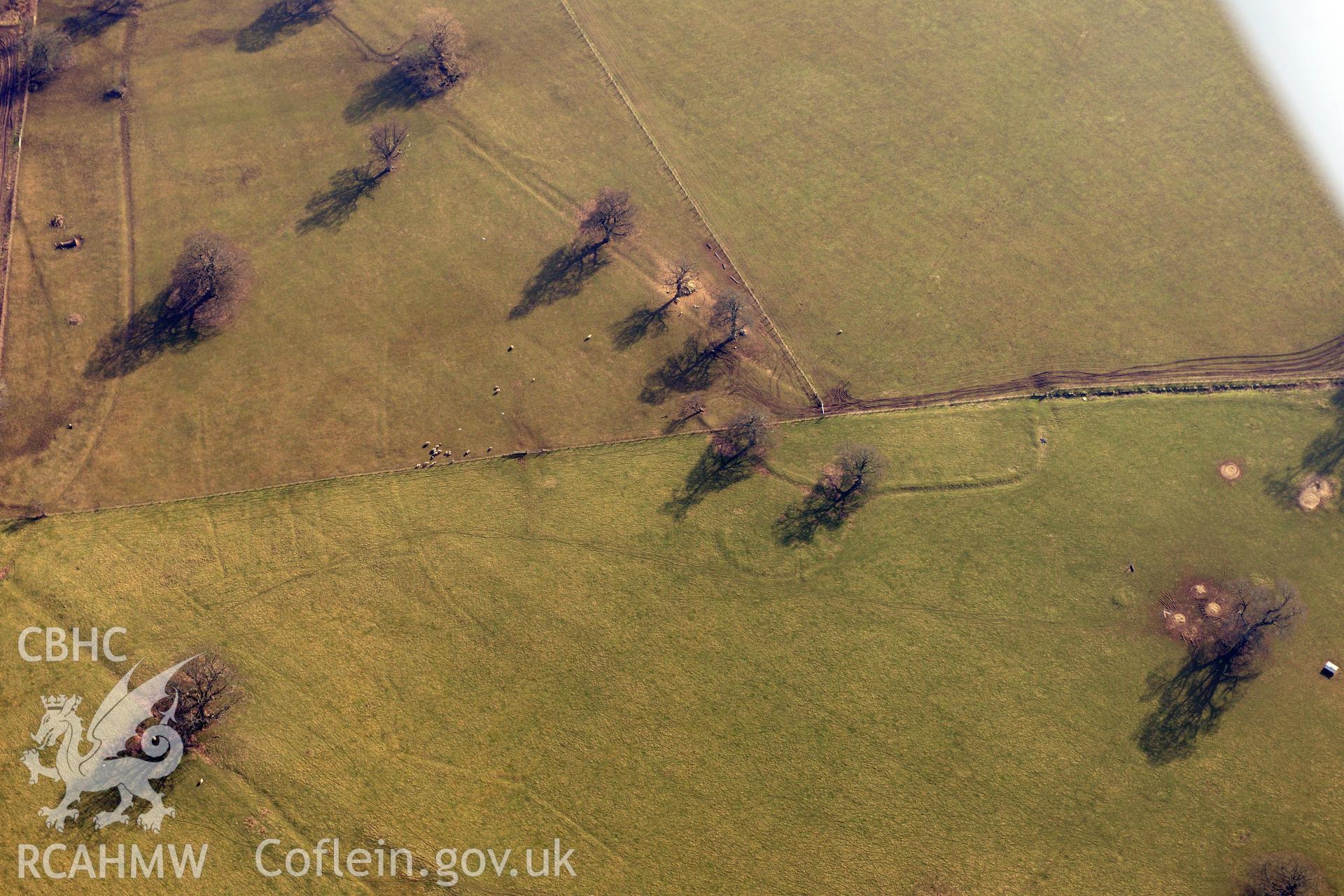 Plas Heaton park, Henllan. Oblique aerial photograph taken during the Royal Commission?s programme of archaeological aerial reconnaissance by Toby Driver on 28th February 2013.