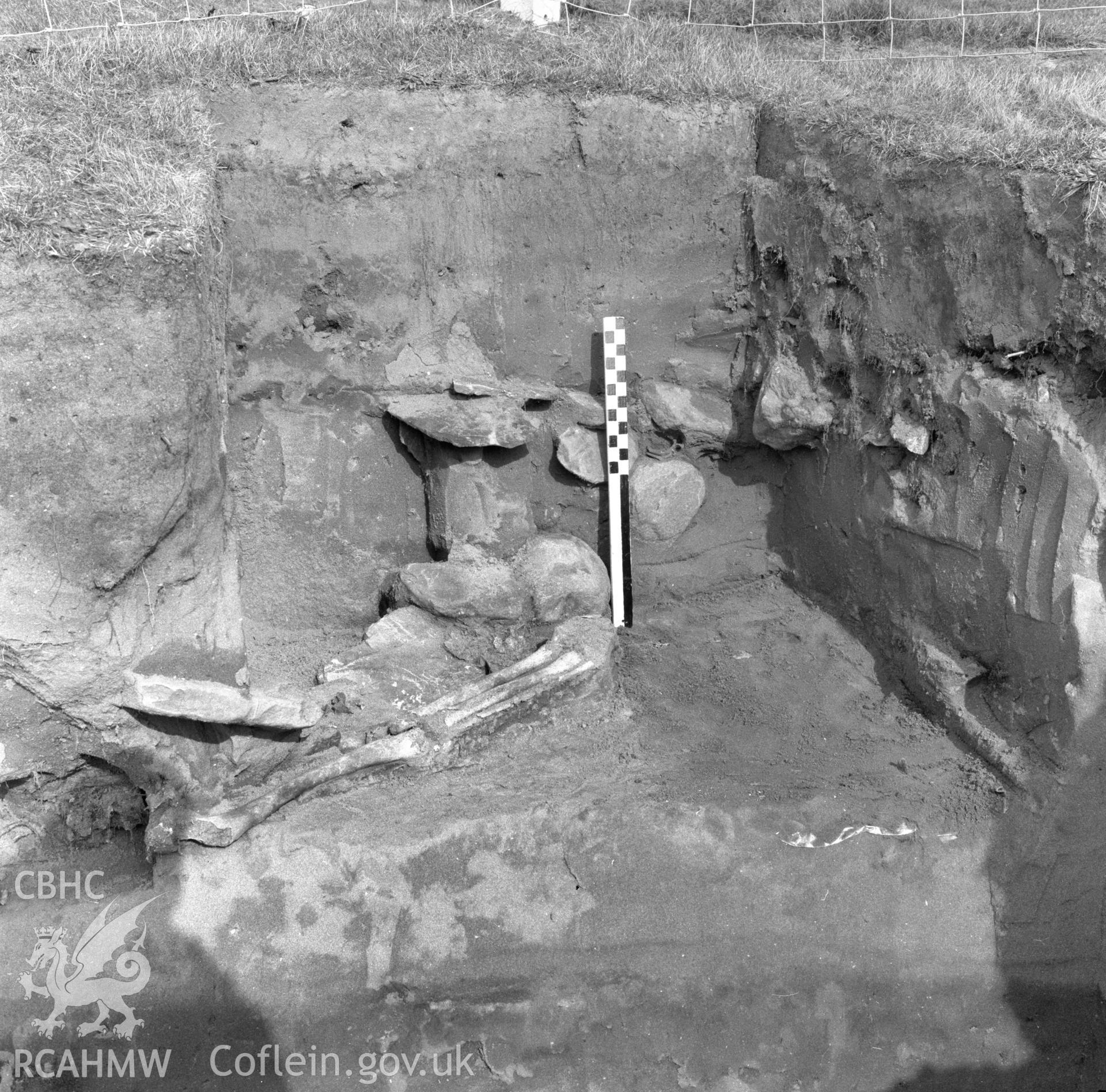 Digital copy of a black and white negative showing excavation at St. Patrick's Chapel, Whitesands Bay, Pembrokeshire taken February 1970.