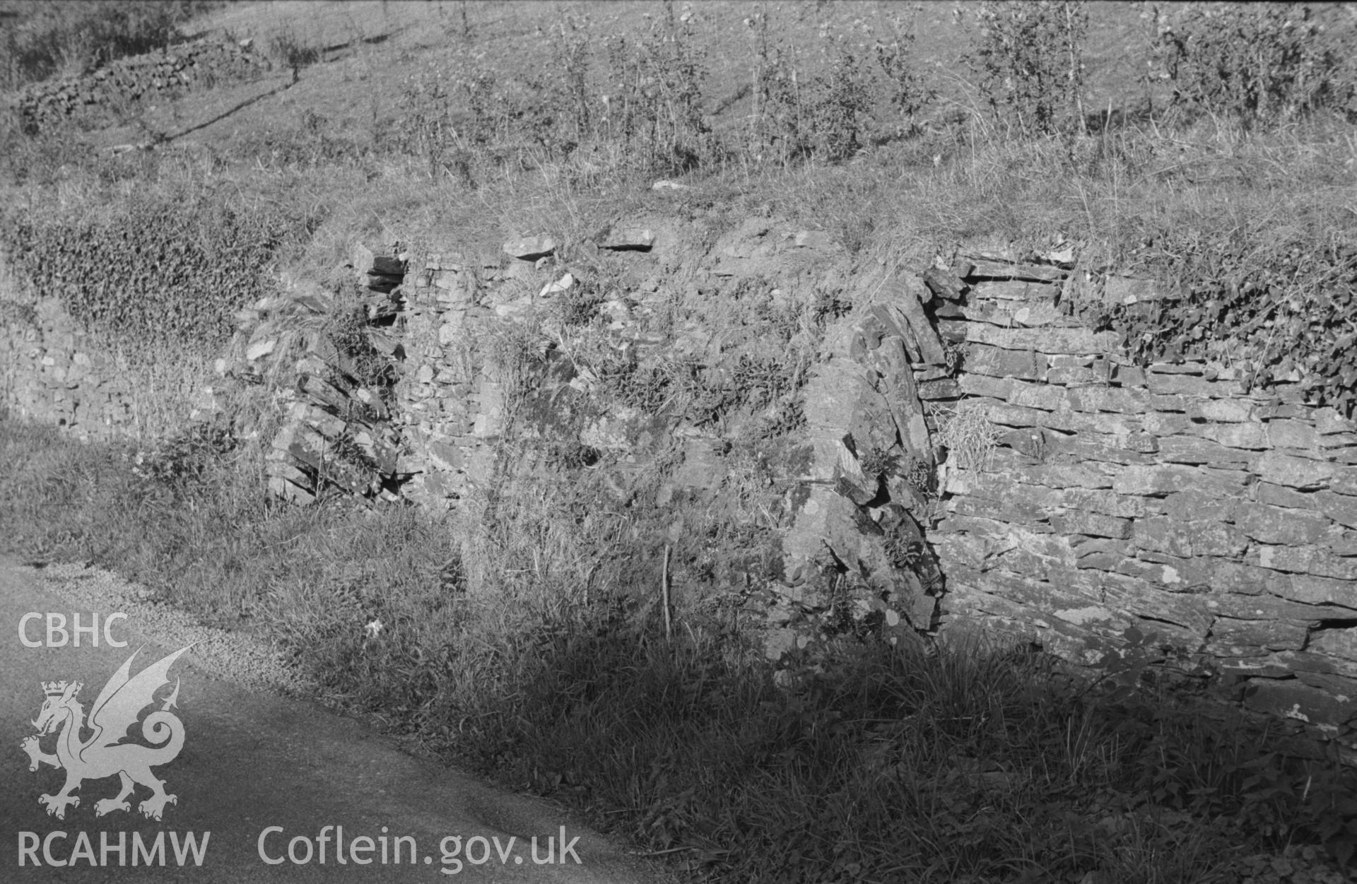 Digital copy of a black and white negative showing buttressed wall 50m south of Tan-y-Fron, 150 metres east of Glanarberth, Llechryd, at the roadside. Photographed by Arthur O. Chater in September 1964 from Grid Reference SN 2216 4387, looking east.