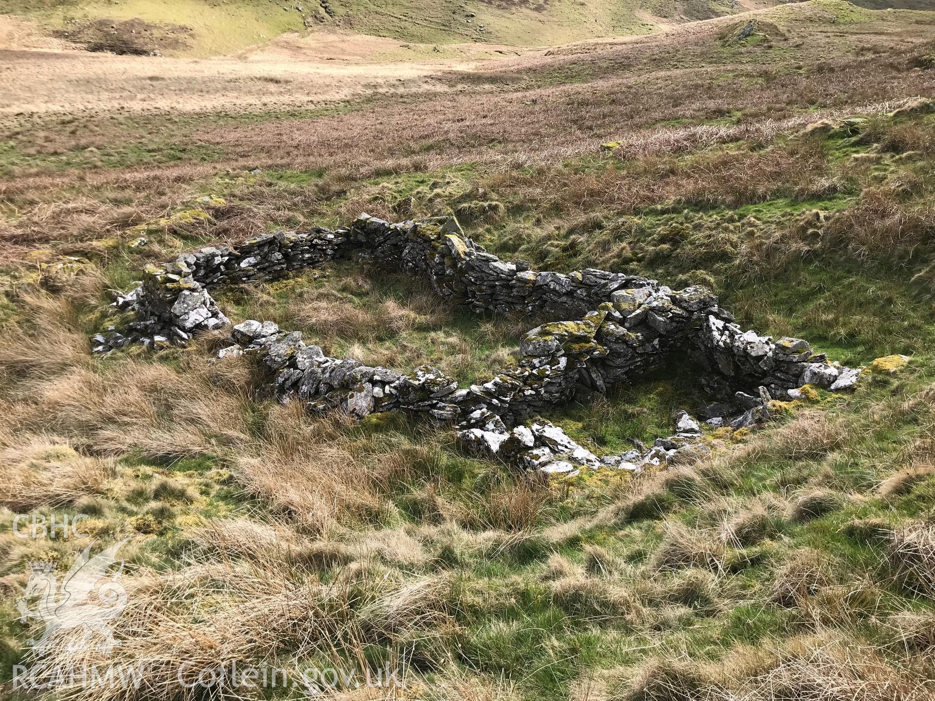 Colour photograph of Hafod Frith Hafod and Sheepfold, east of Pontrhydfendigaid, taken by Paul R. Davis on 24th March 2019.