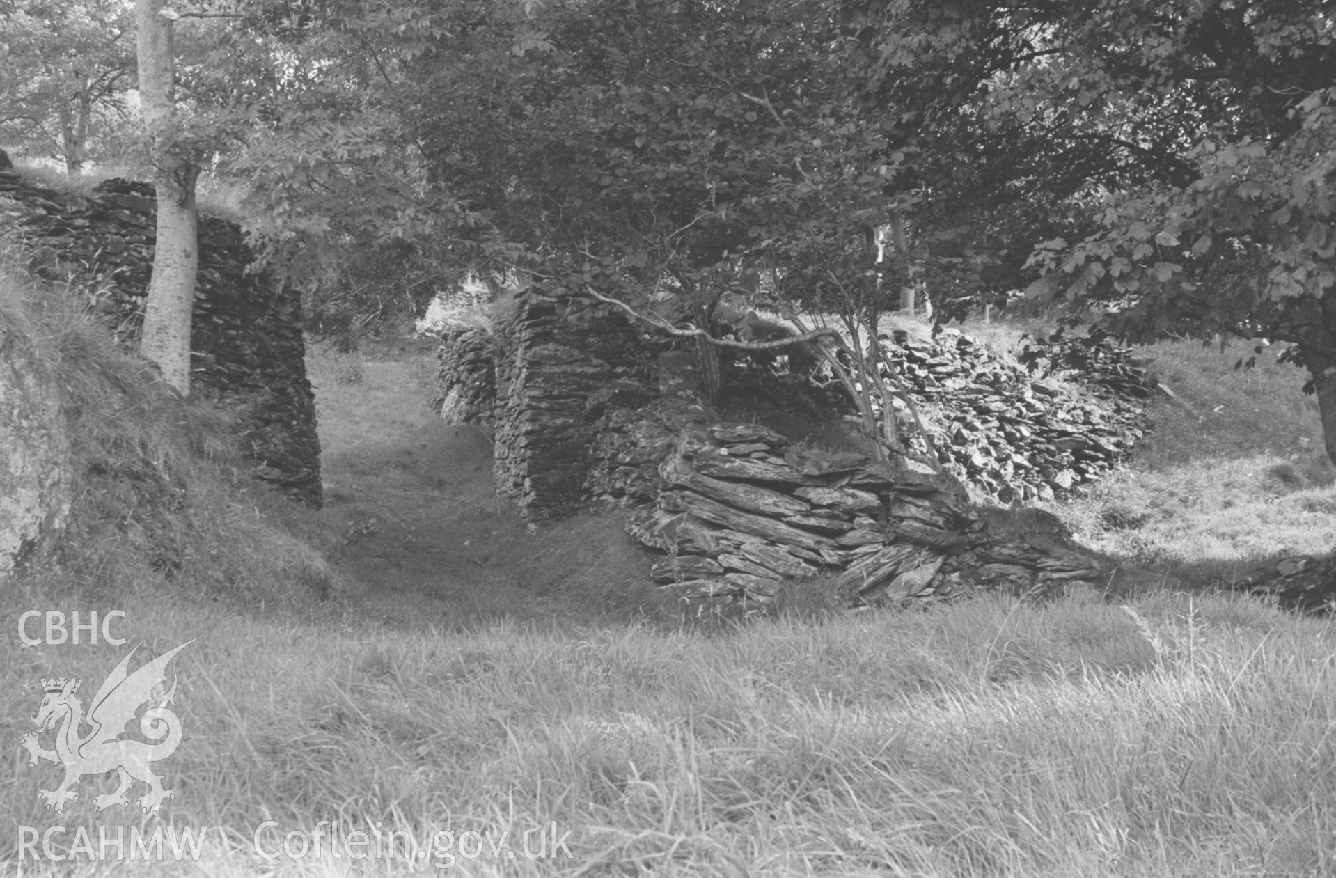 Digital copy of a black and white negative looking up the track leading to the ruins of Neuadd Llwyd showing the two sides of the stone bridge where the tramway crossed the track at Bryndyfi Lead Mine. Photographed by Arthur O. Chater in August 1966.