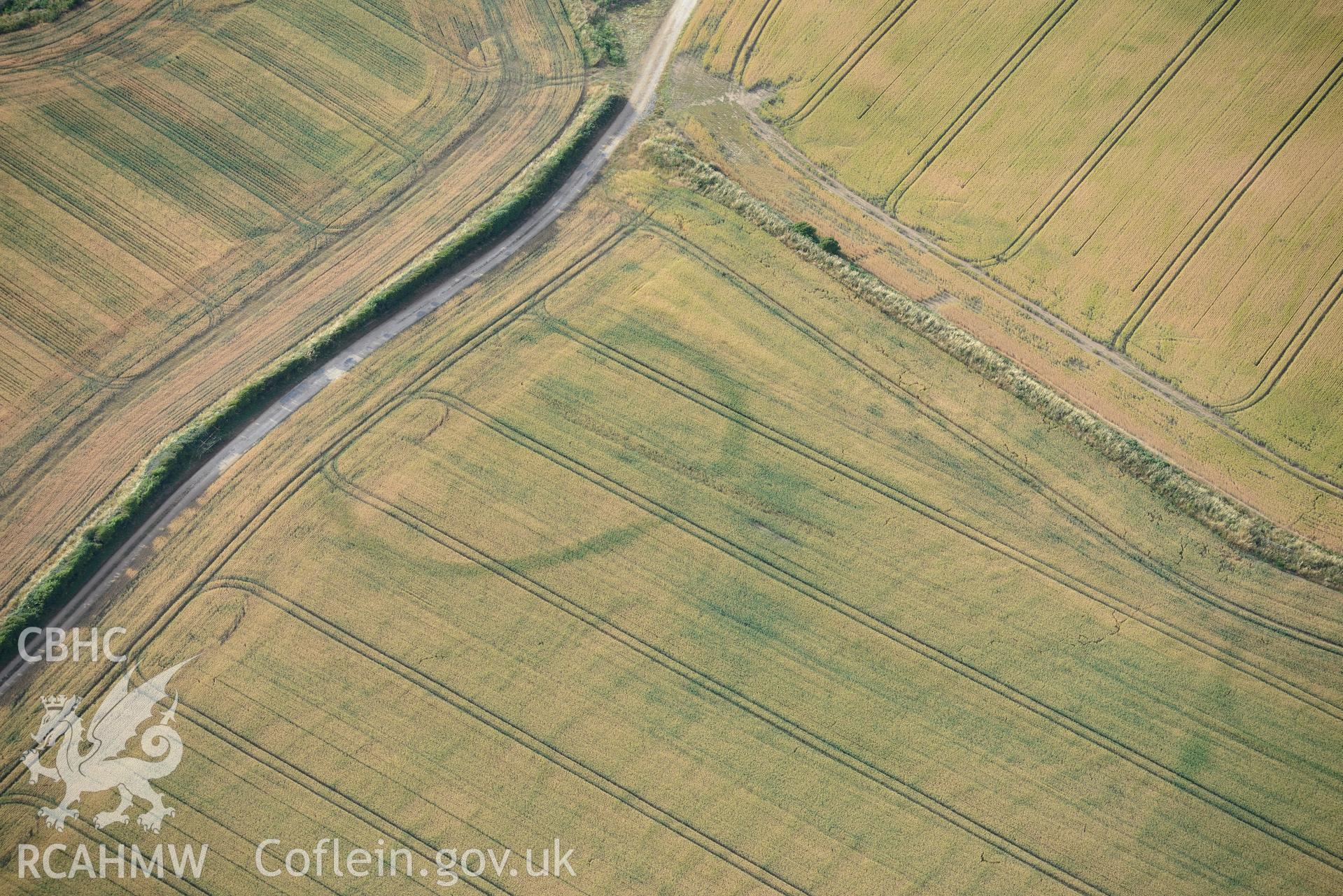 Royal Commission aerial photography of Paviland Manor cropmark complex, south-west circular enclosure, taken on 17th July 2018 during the 2018 drought.