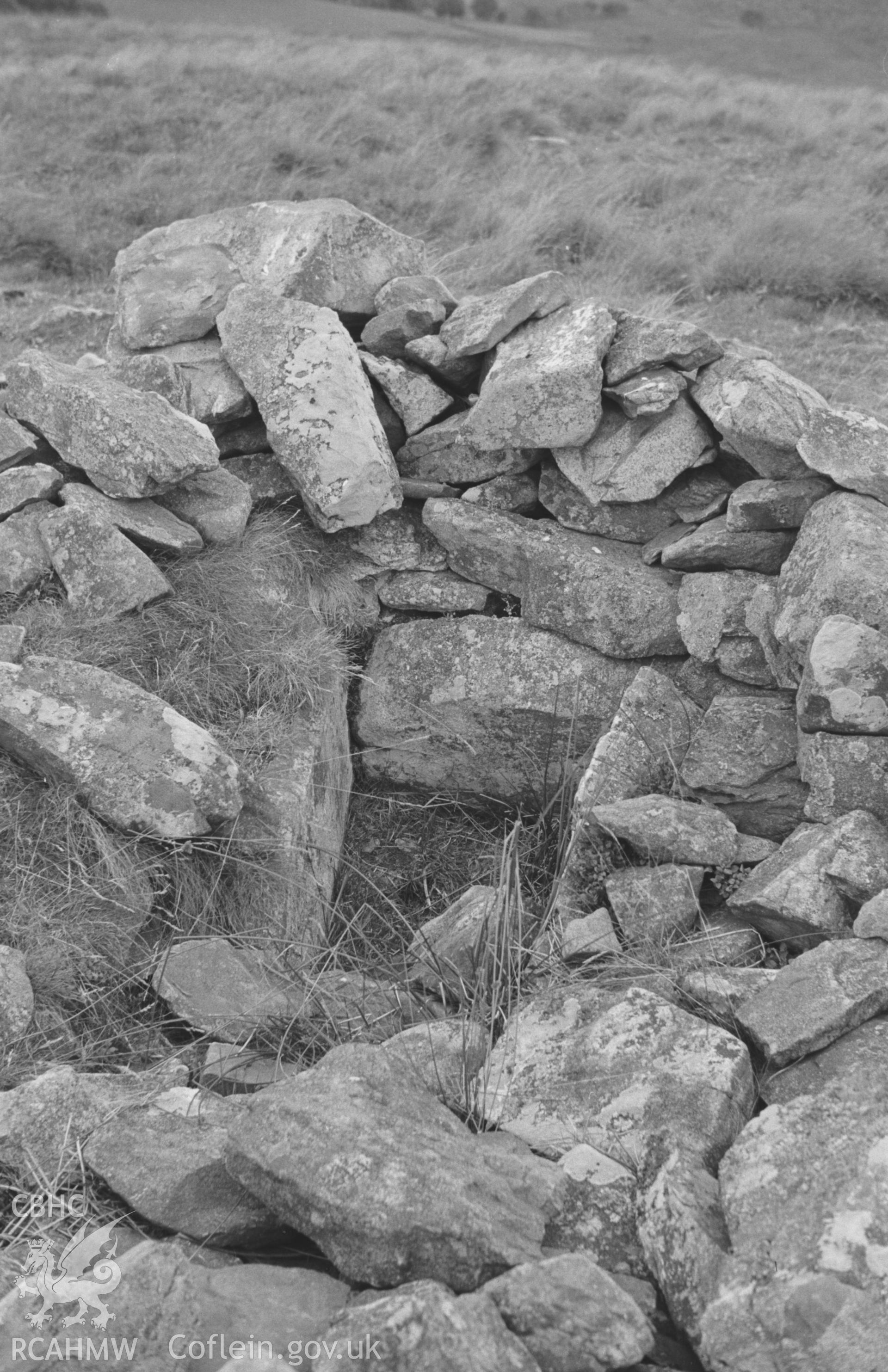 Digital copy of a black and white negative showing Esgair Fraith cairn field, east of Lampeter. Photographed by Arthur O. Chater in August 1965.