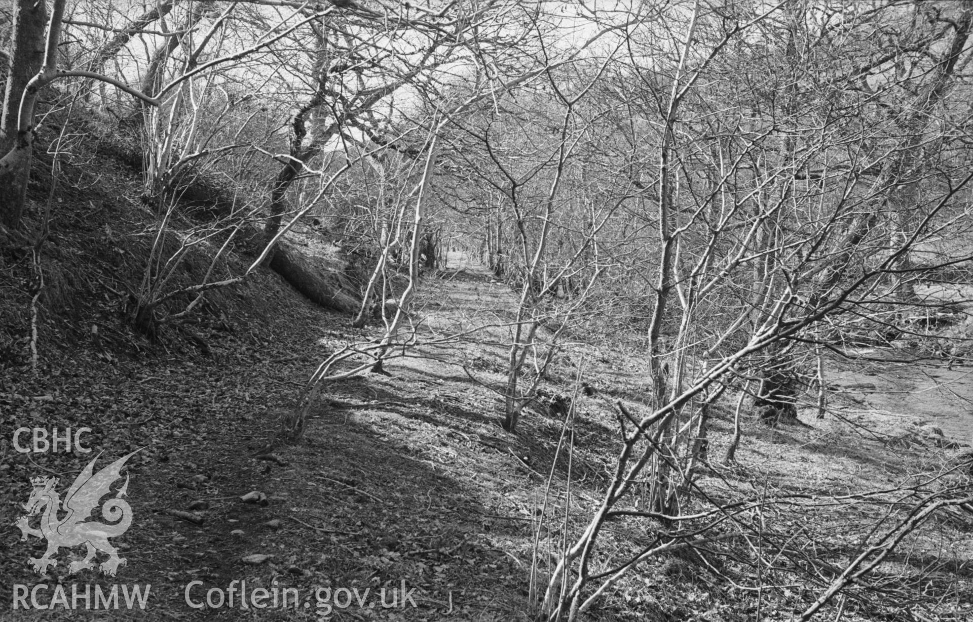 Digital copy of a black and white negative showing old track of Hafan-Llandre Tramway, 2km east south east of Talybont, Aberystwyth. Photographed in April 1963 by Arthur O. Chater from Grid Reference SN 673 886, looking west.