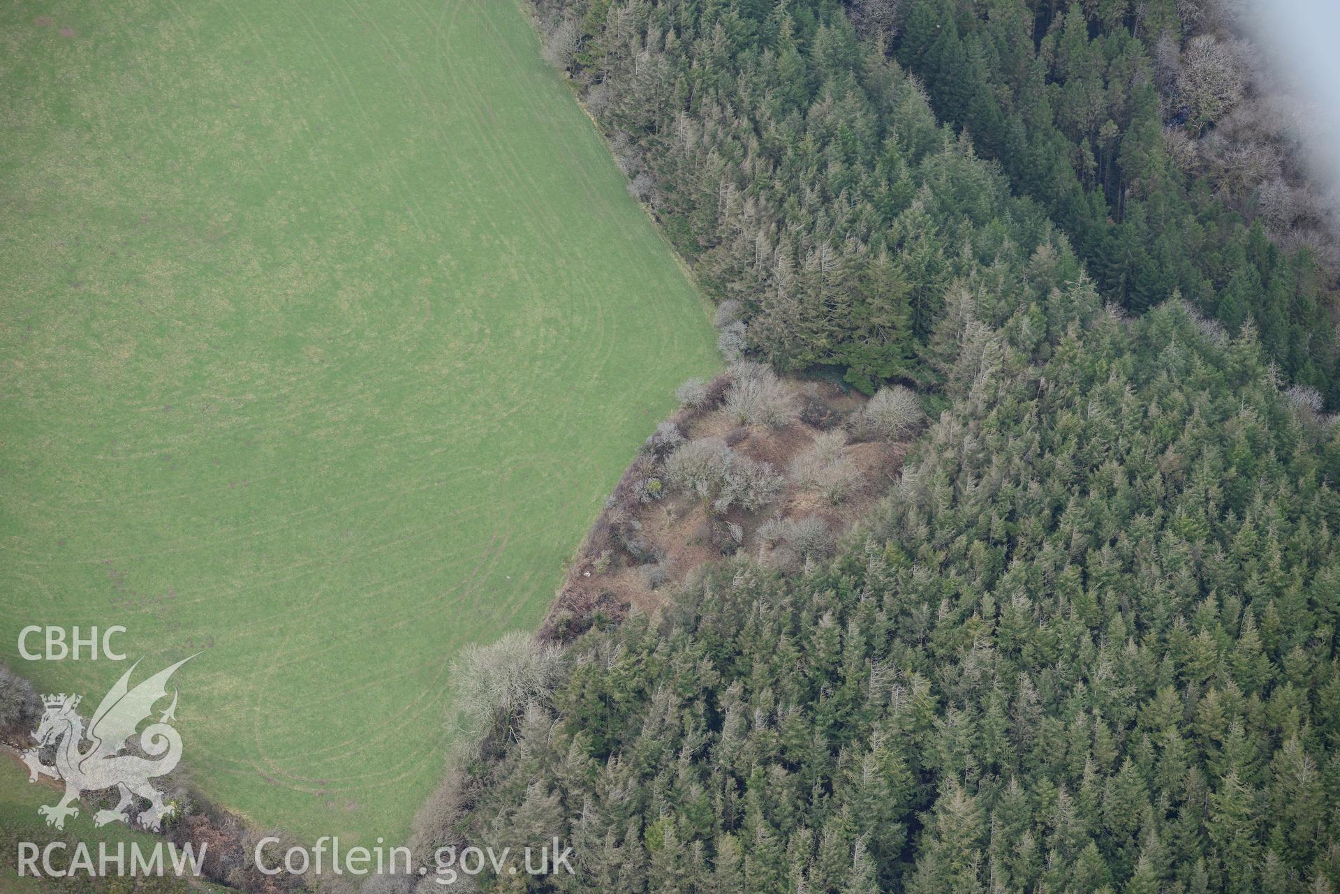 Castell Forlan defended enclosure, near Maenclochog, Crymych. Oblique aerial photograph taken during the Royal Commission's programme of archaeological aerial reconnaissance by Toby Driver on 13th March 2015.