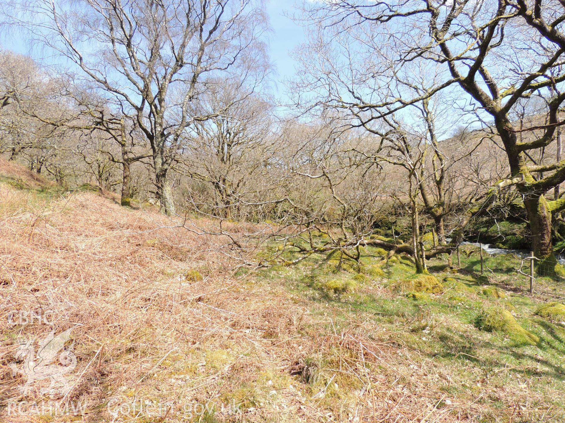 'Penstock Route, c. SH62534 44202. Looking north east.' Photographed as part of desk based assessment and heritage impact assessment of a hydro scheme on the Afon Croesor, Brondanw Estate, Gwynedd. Produced by Archaeology Wales, 2018.