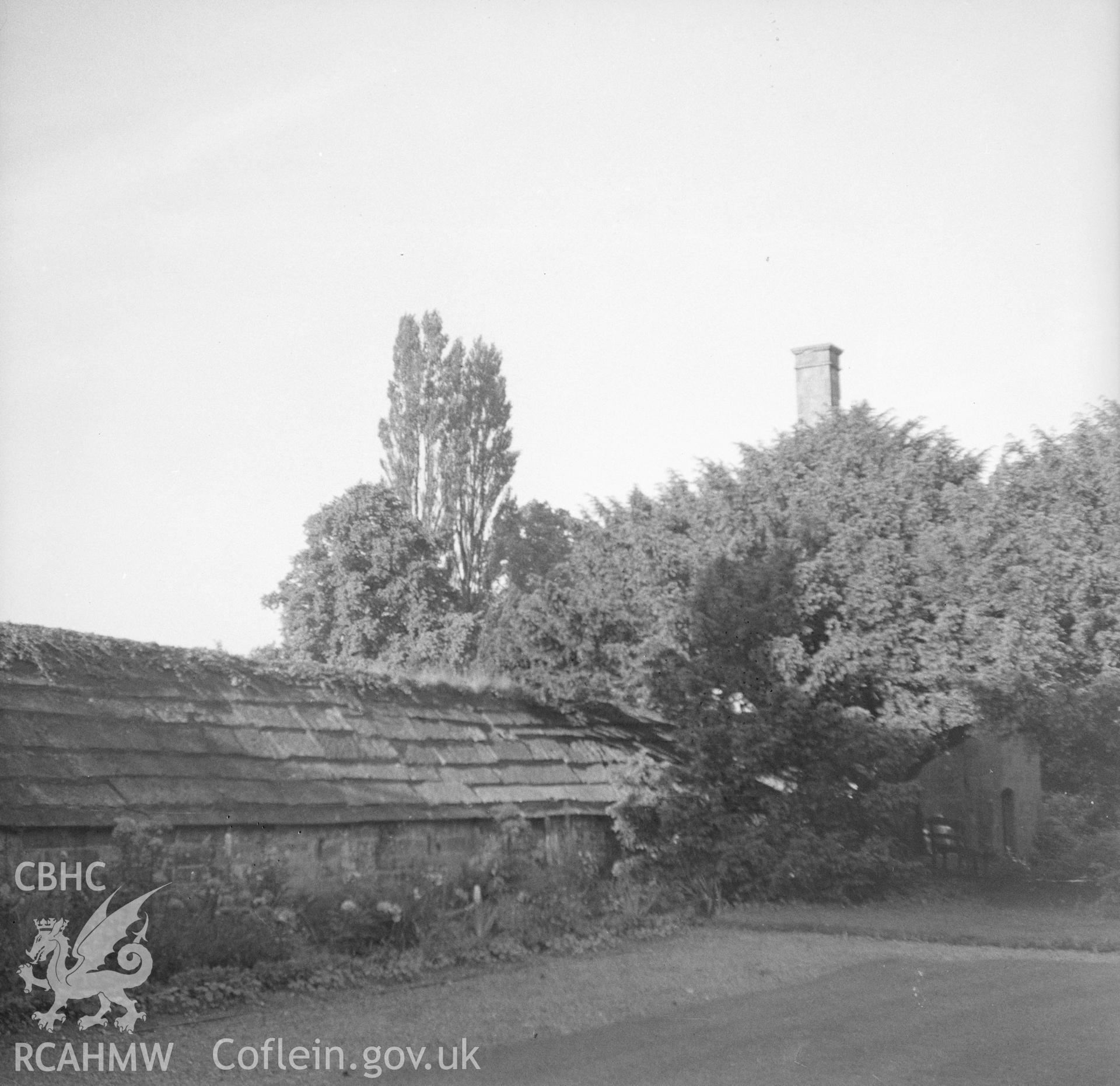 Digital copy of a black and white nitrate negative showing exterior view of 'Lletty' at Pentrehobyn Hall.