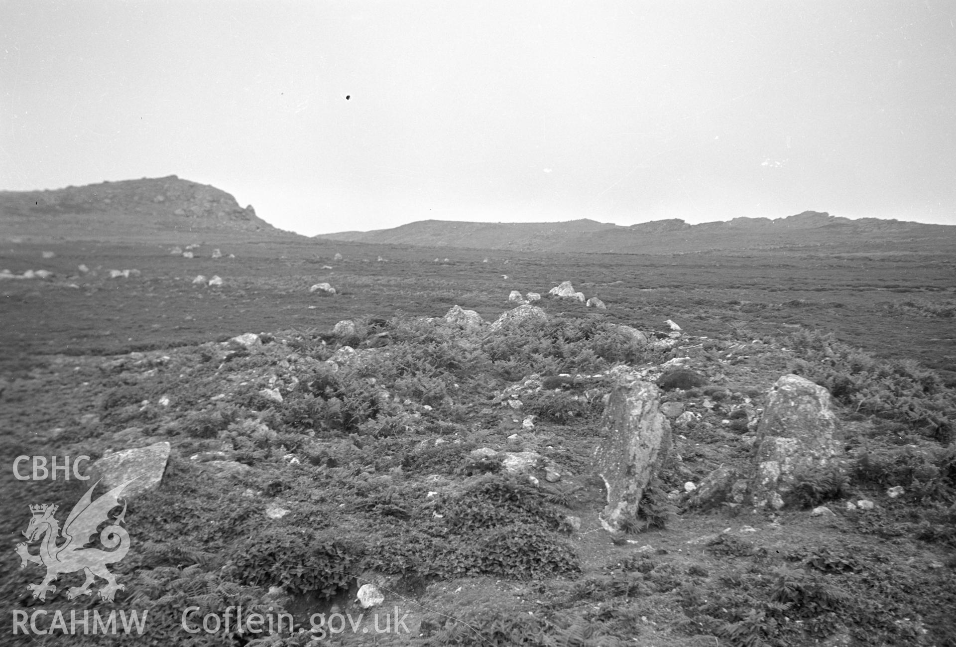 Digital copy of a nitrate negative showing view of Skomer Island taken by Leonard Monroe, June 1950.