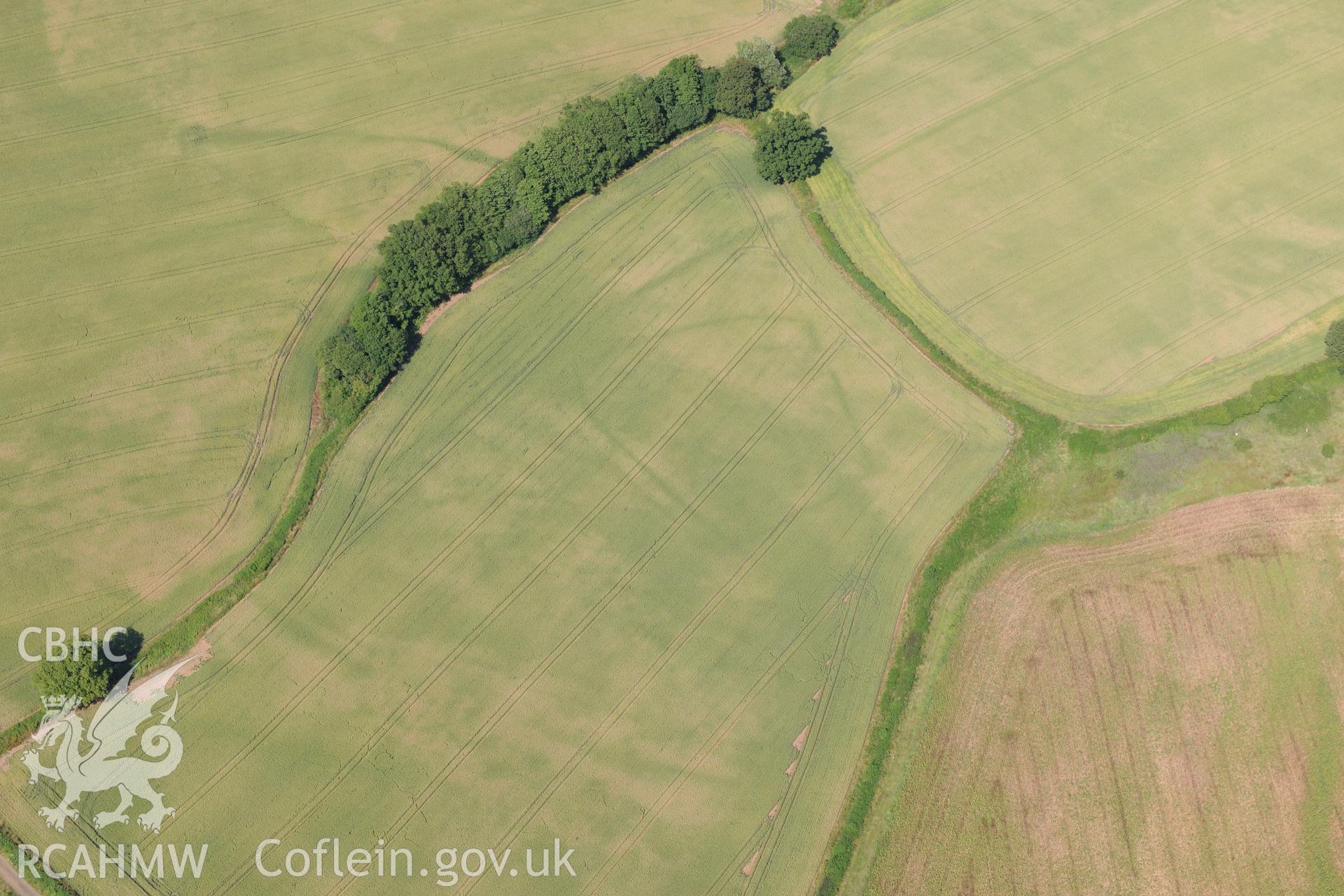 Cropmark showing the Malthouse Road defended enclosure, near Caerleon, north of Newport. Oblique aerial photograph taken during the Royal Commission?s programme of archaeological aerial reconnaissance by Toby Driver on 1st August 2013.