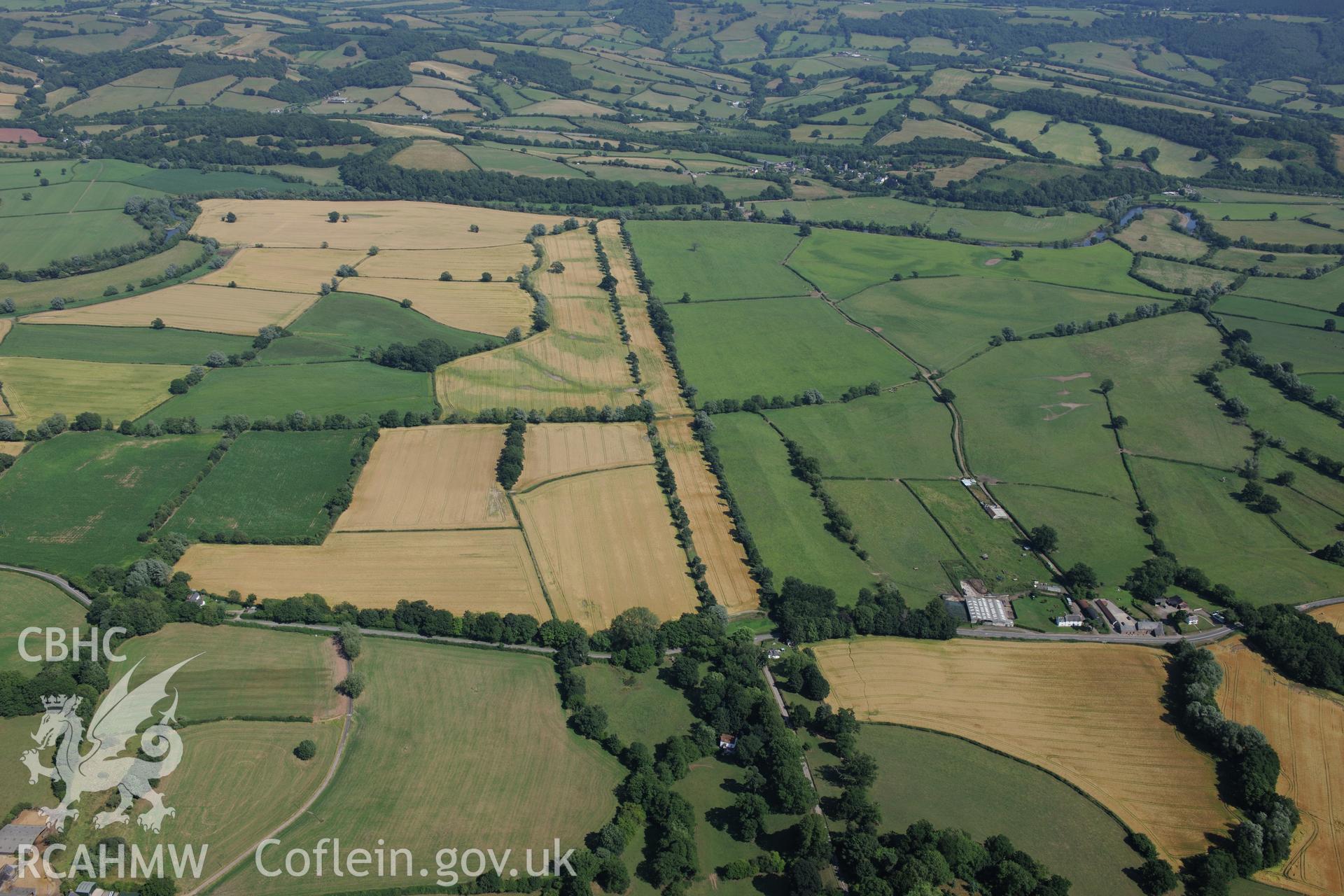 The avenue of trees known as 'Llangibby Walks,' which leads to Llangibby House, west of Llantrisant. Oblique aerial photograph taken during the Royal Commission?s programme of archaeological aerial reconnaissance by Toby Driver on 1st August 2013.