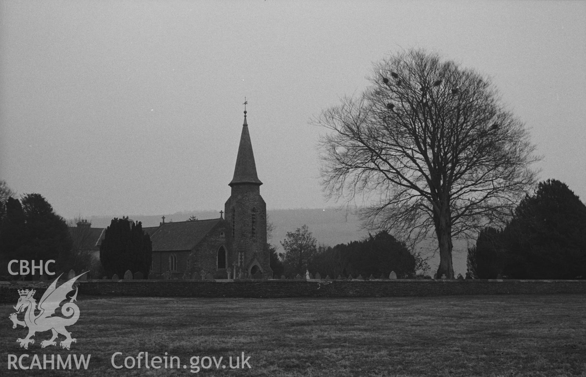 Digital copy of a black and white negative showing St. Bledrws' church, Betws Bledrws, with rookery in beech tree. Photographed in April 1963 by Arthur O. Chater from the road at Grid Reference SN 5949 5204, looking east south east.