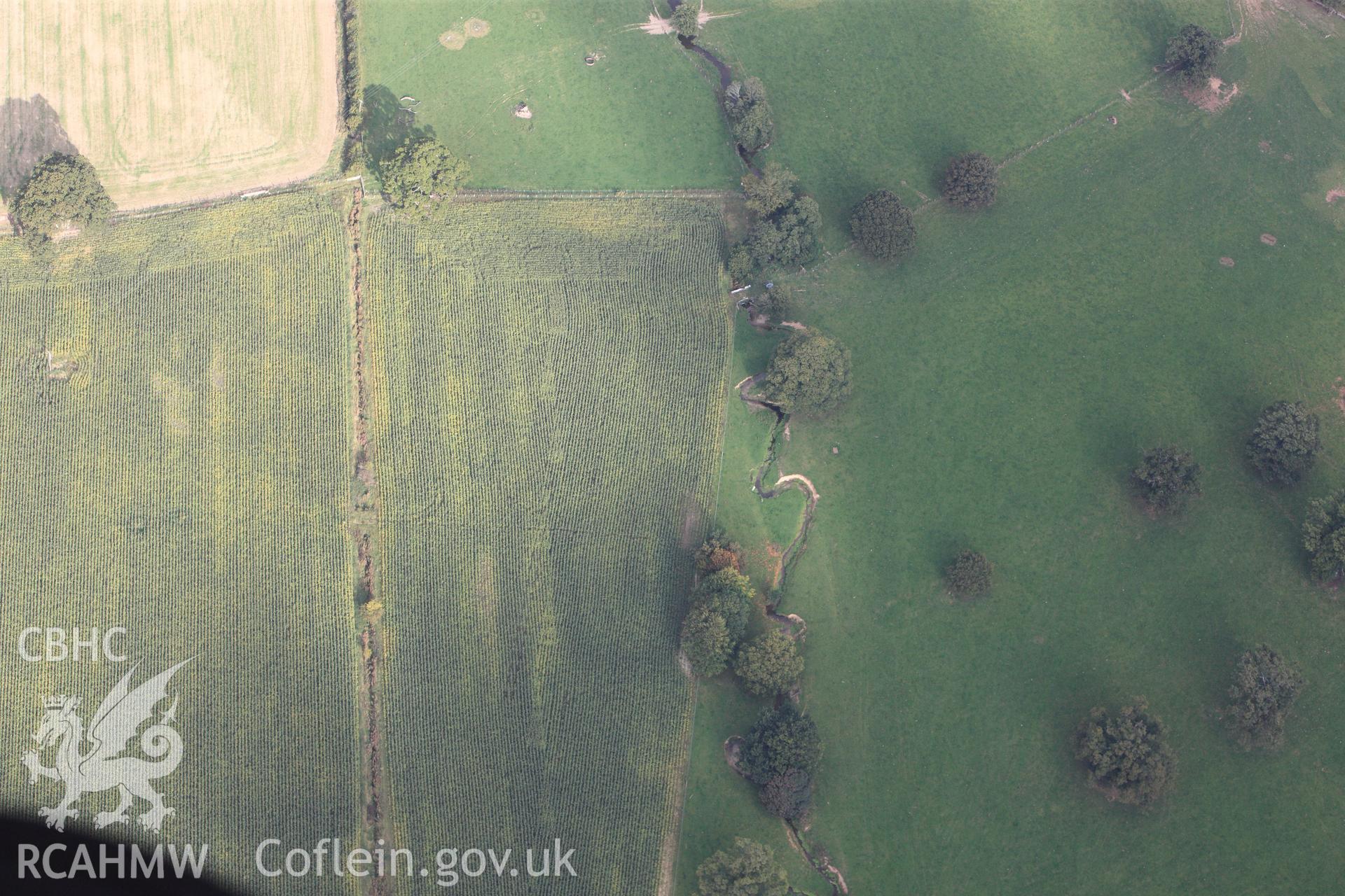 RCAHMW colour oblique photograph of Plas Newydd Romano-British Temple Cropwork; Plasnewydd Roman Temple. Taken by Toby Driver on 04/10/2011.