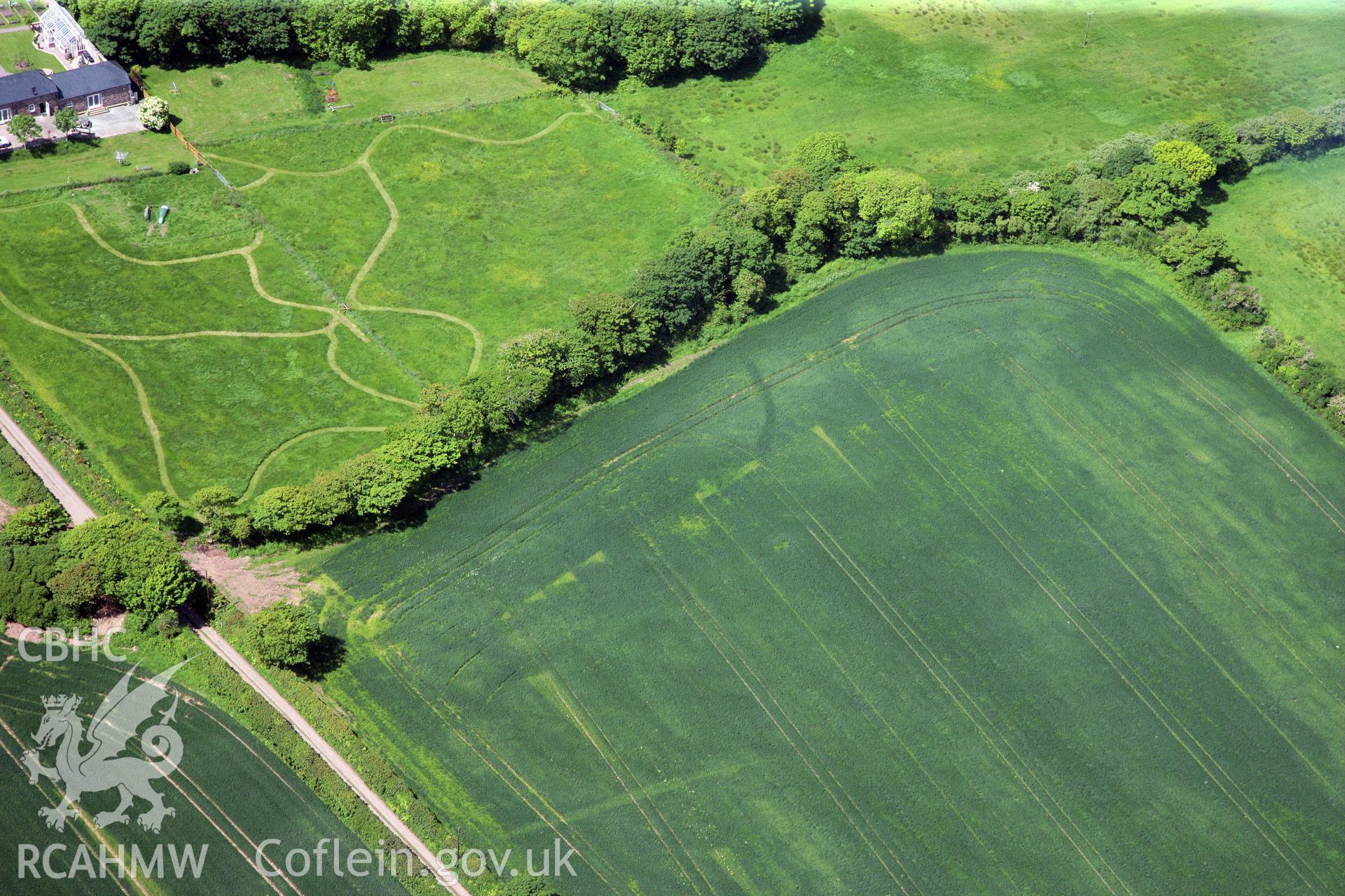 RCAHMW colour oblique photograph of Cropmarks east of Butterhill Farm. Taken by Toby Driver on 24/05/2011.