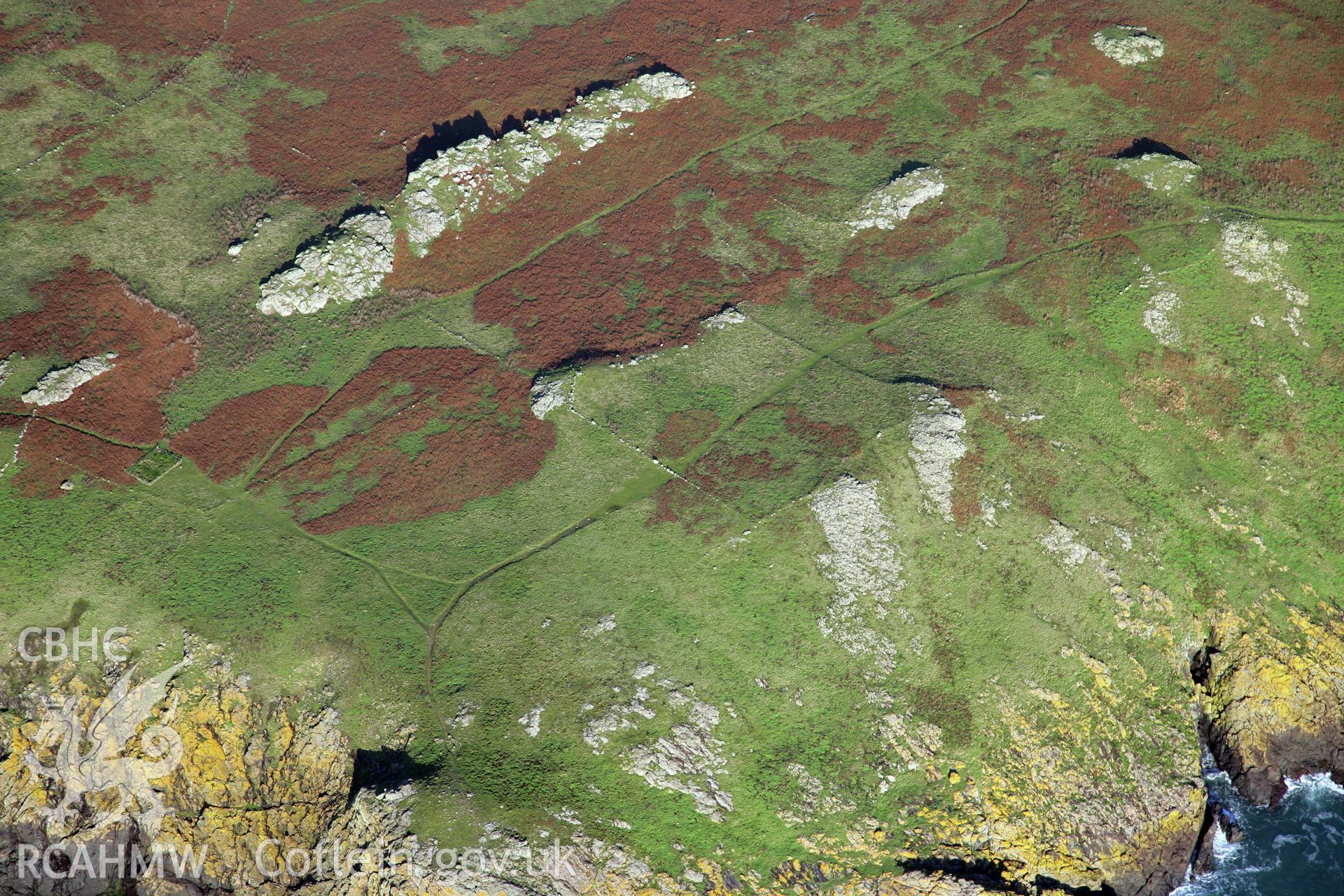 RCAHMW colour oblique photograph of settlements and field systems, Skomer Island, viewed from the west. Taken by O. Davies & T. Driver on 22/11/2013.