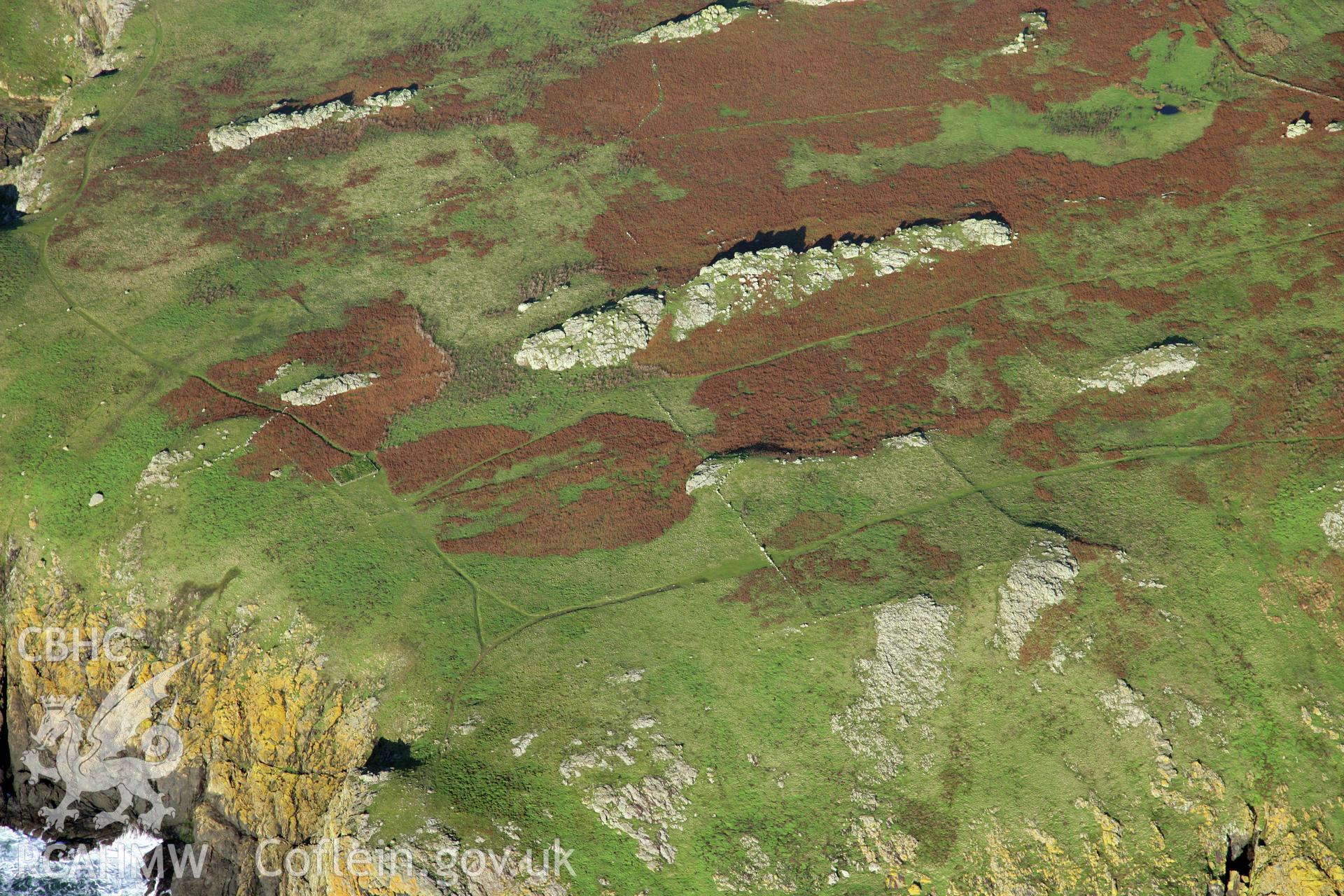 RCAHMW colour oblique photograph of settlements and field systems, Skomer Island, viewed from the west. Taken by O. Davies & T. Driver on 22/11/2013.