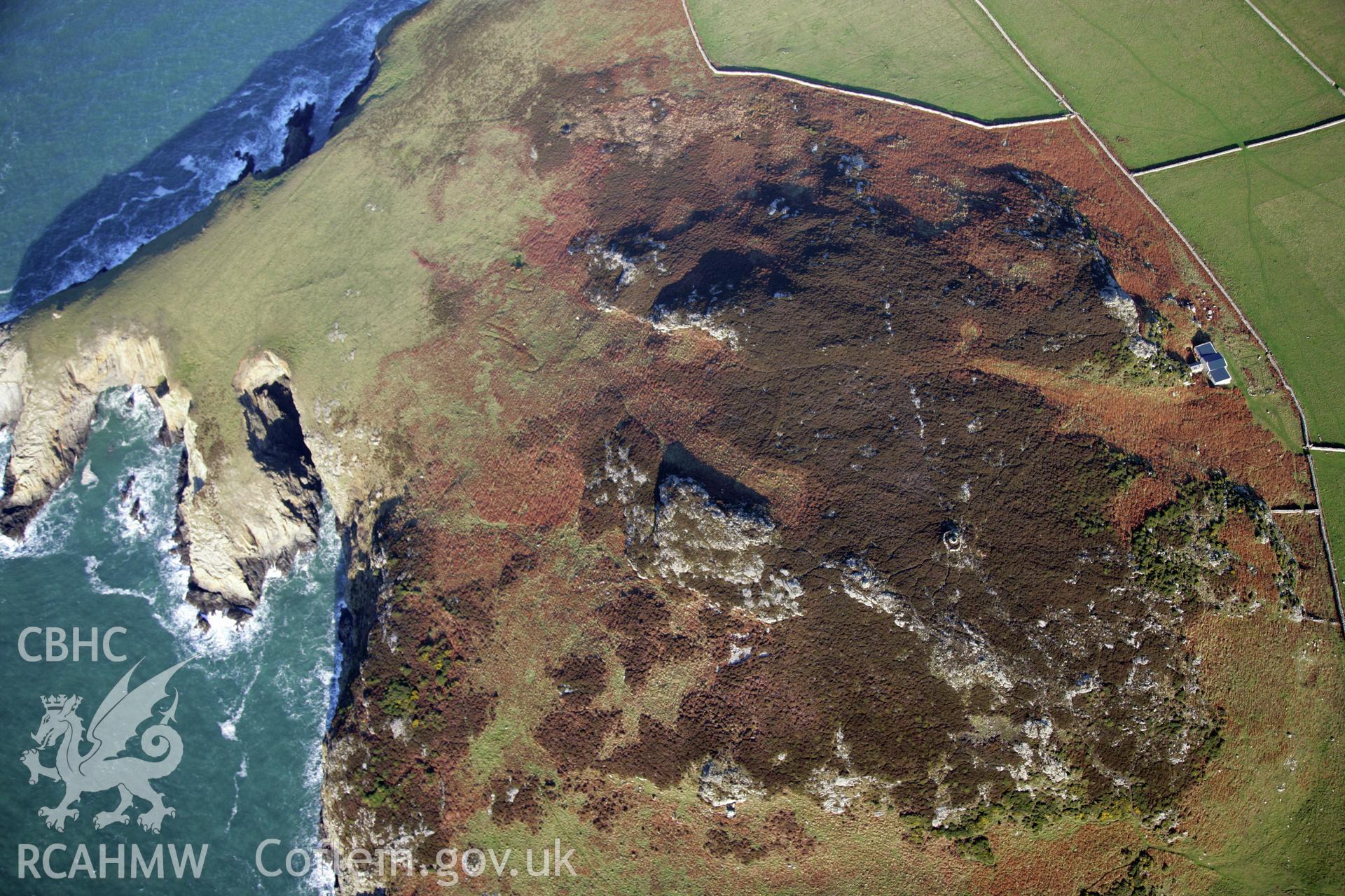 RCAHMW colour oblique photograph of Carnysgybor and relict field walls, Ramsey Island, looking north. Taken by O. Davies & T. Driver on 22/11/2013.