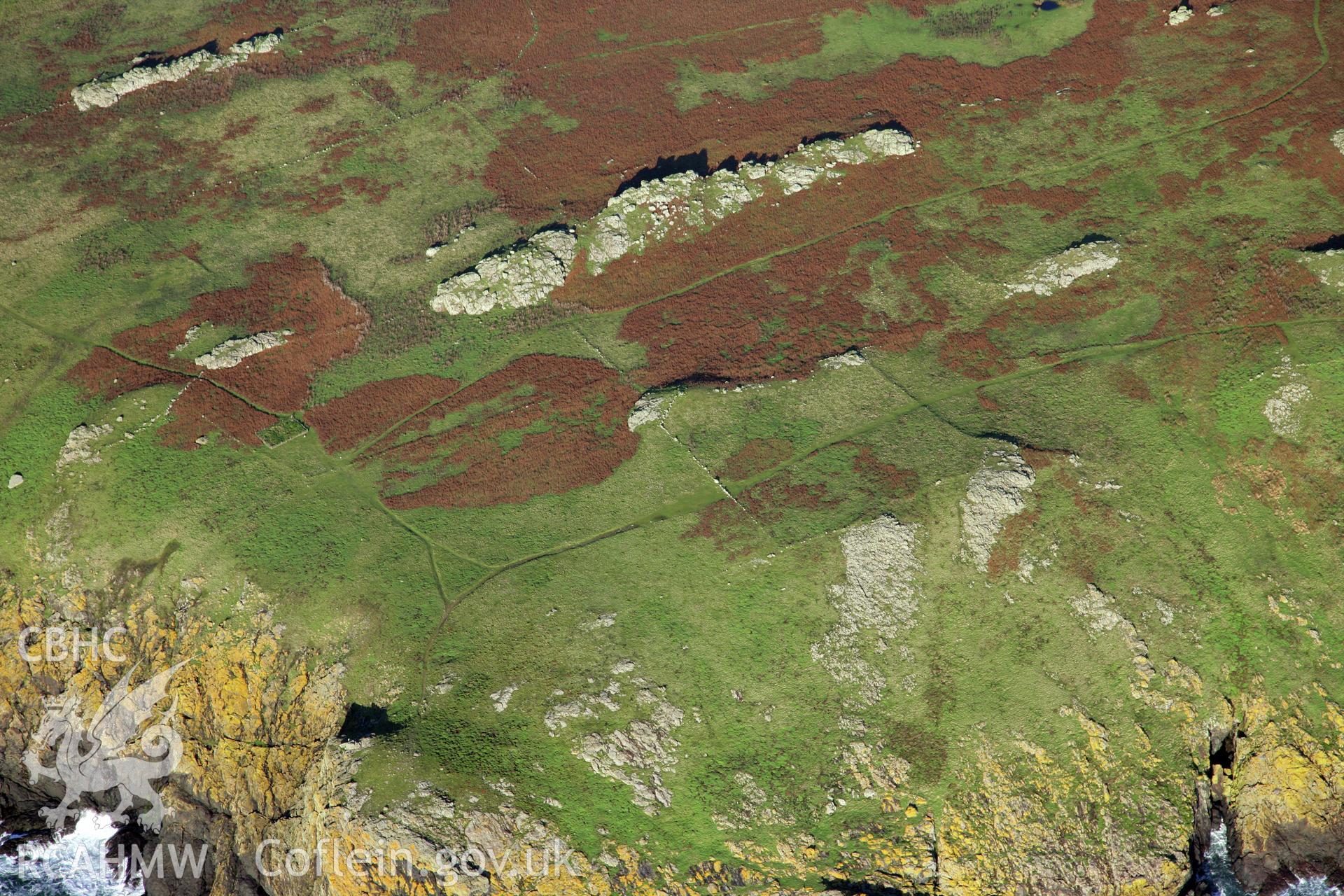 RCAHMW colour oblique photograph of settlements and field systems, Skomer Island, viewed from the west. Taken by O. Davies & T. Driver on 22/11/2013.