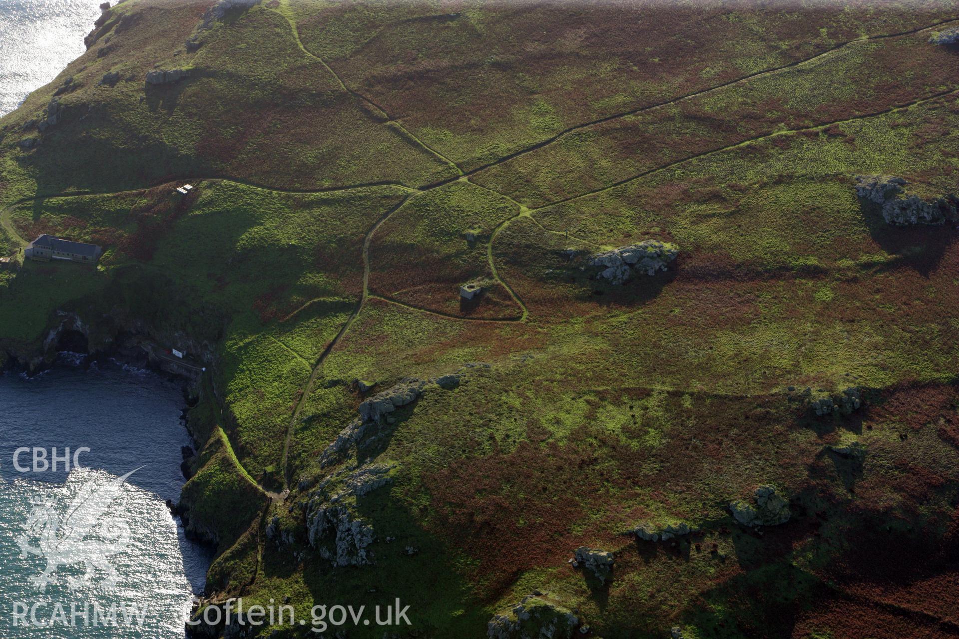 RCAHMW colour oblique photograph of field system, limekiln and warden's house, Skomer Island, looking south-west. Taken by O. Davies & T. Driver on 22/11/2013.