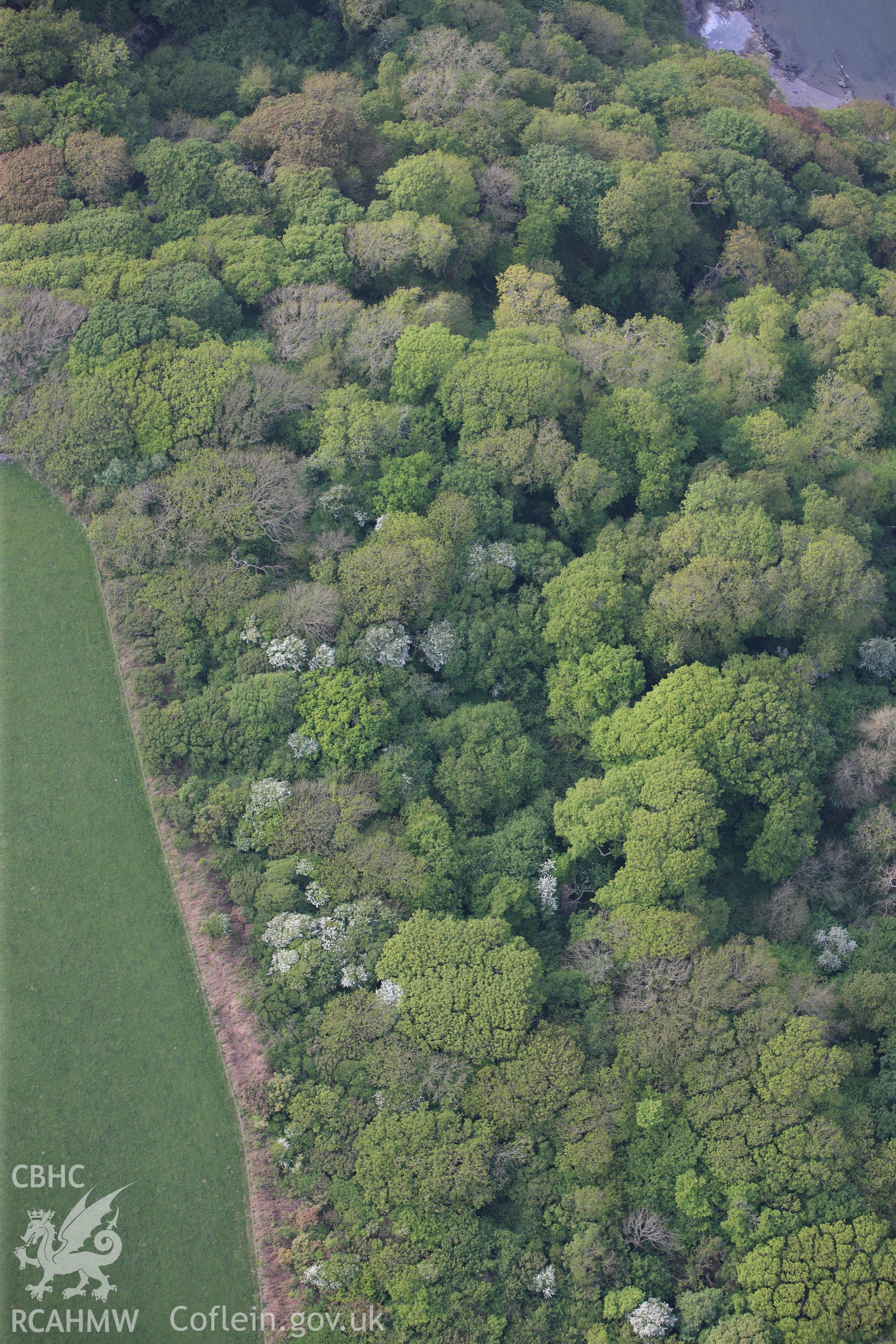 RCAHMW colour oblique photograph of Maiden Castle. Taken by Toby Driver and Oliver Davies on 04/05/2011.