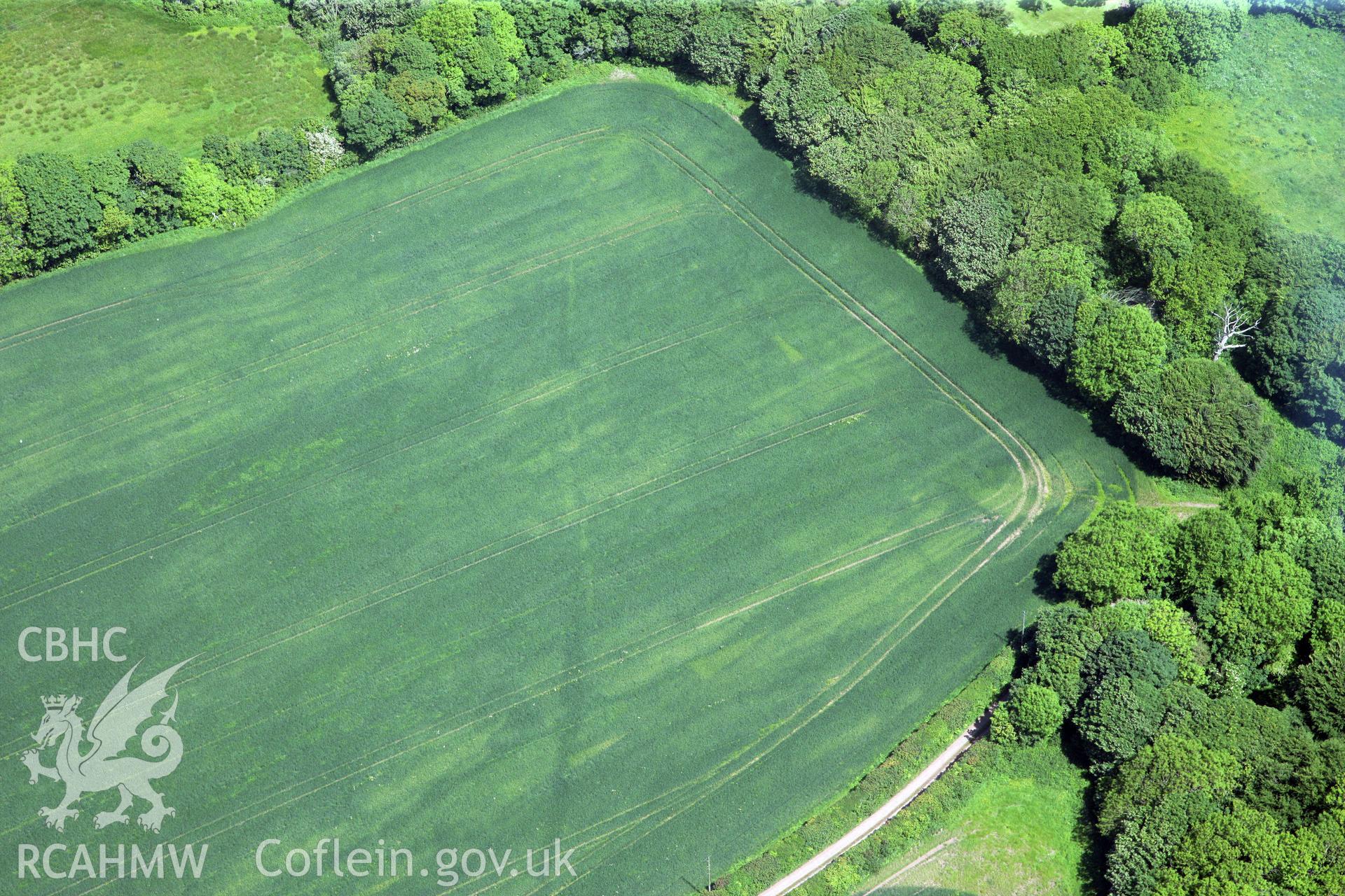 RCAHMW colour oblique photograph of Cropmarks east of Butterhill Farm. Taken by Toby Driver on 24/05/2011.