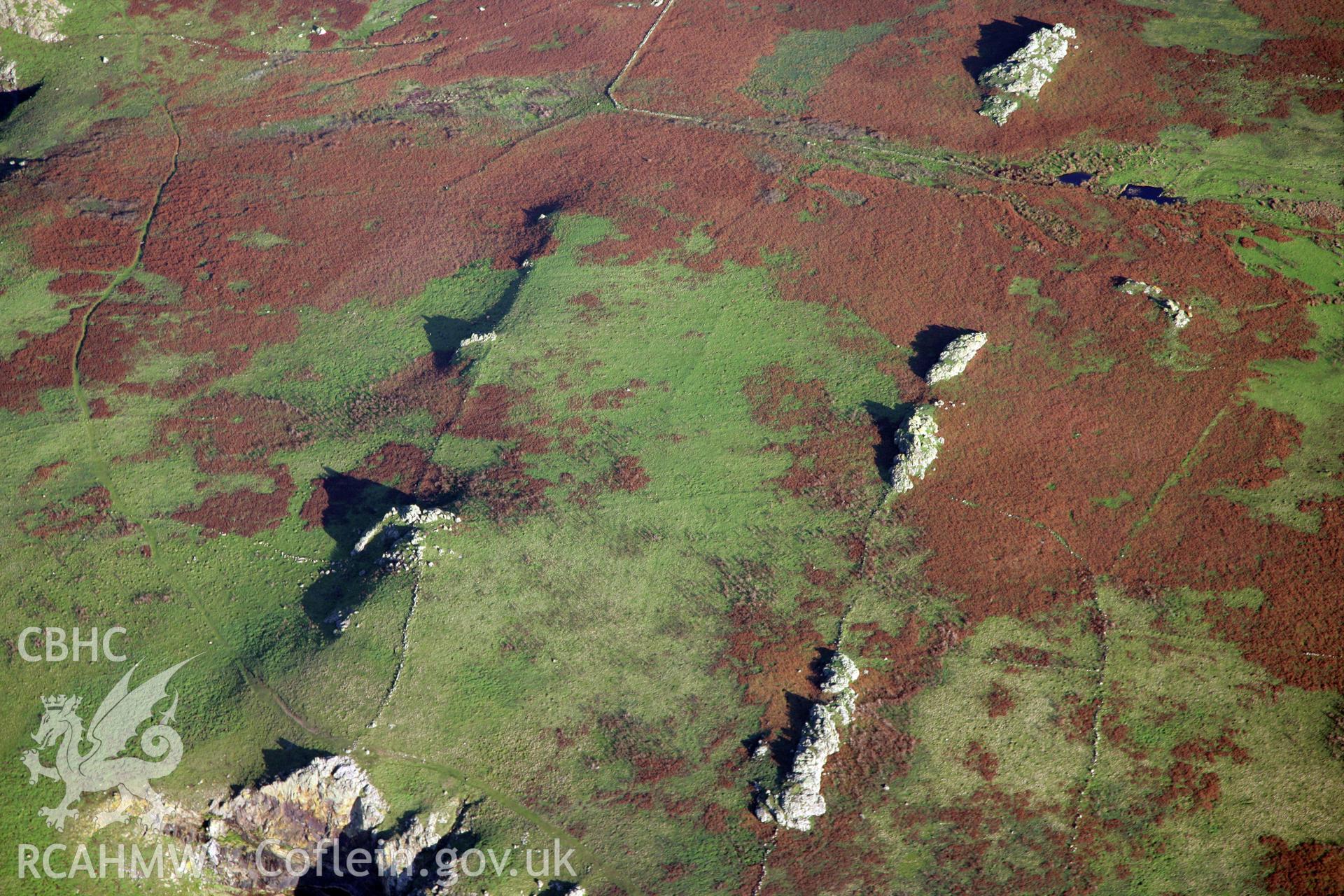 RCAHMW colour oblique photograph of settlements and field systems, Skomer Island, viewed from the west. Taken by O. Davies & T. Driver on 22/11/2013.