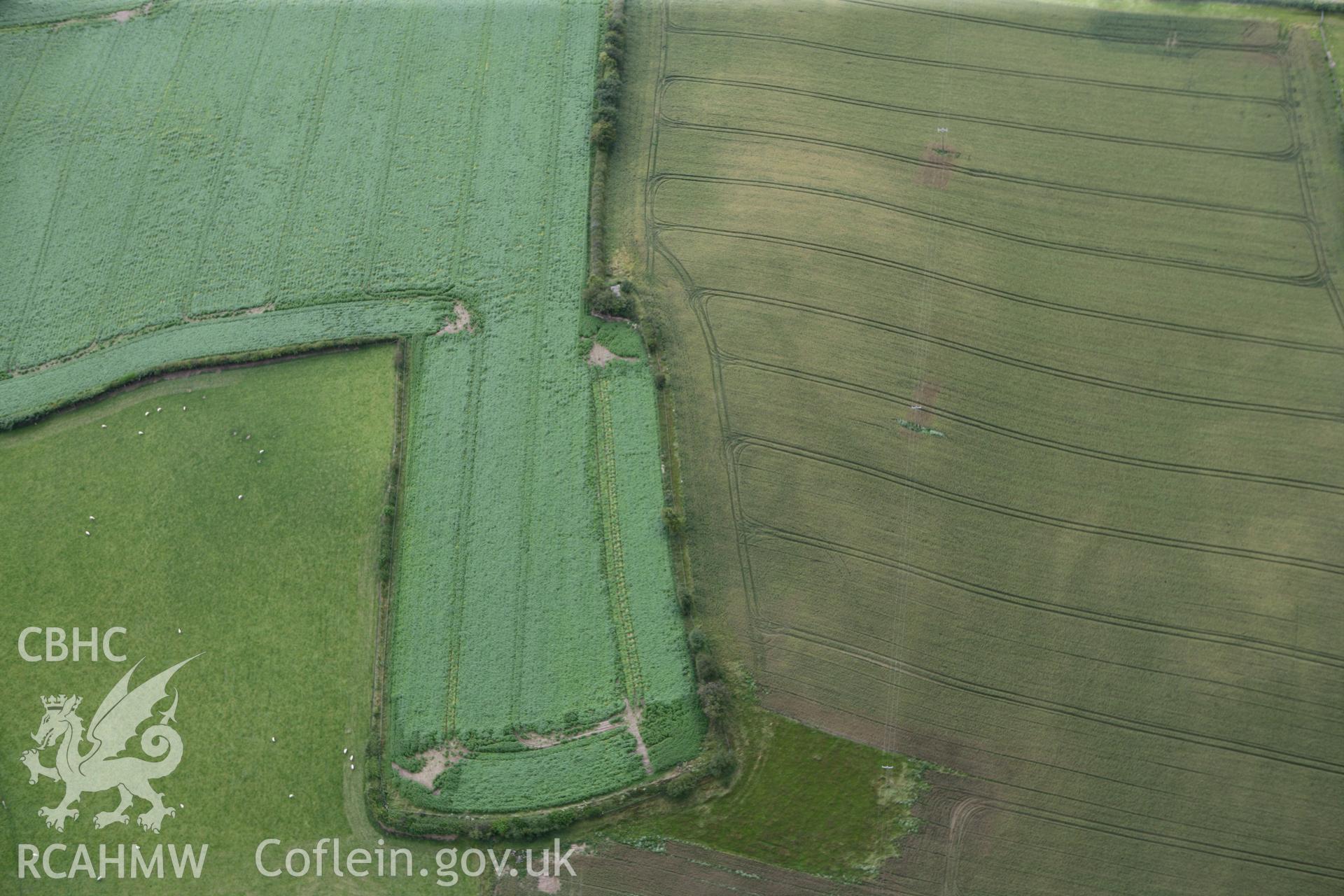 RCAHMW colour oblique photograph of Womaston causewayed enclosure, with cropmark of inner ditch. Taken by Toby Driver on 20/07/2011.