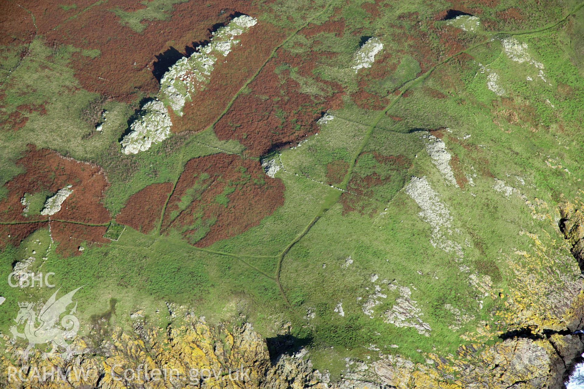 RCAHMW colour oblique photograph of settlements and field systems, Skomer Island, viewed from the west. Taken by O. Davies & T. Driver on 22/11/2013.