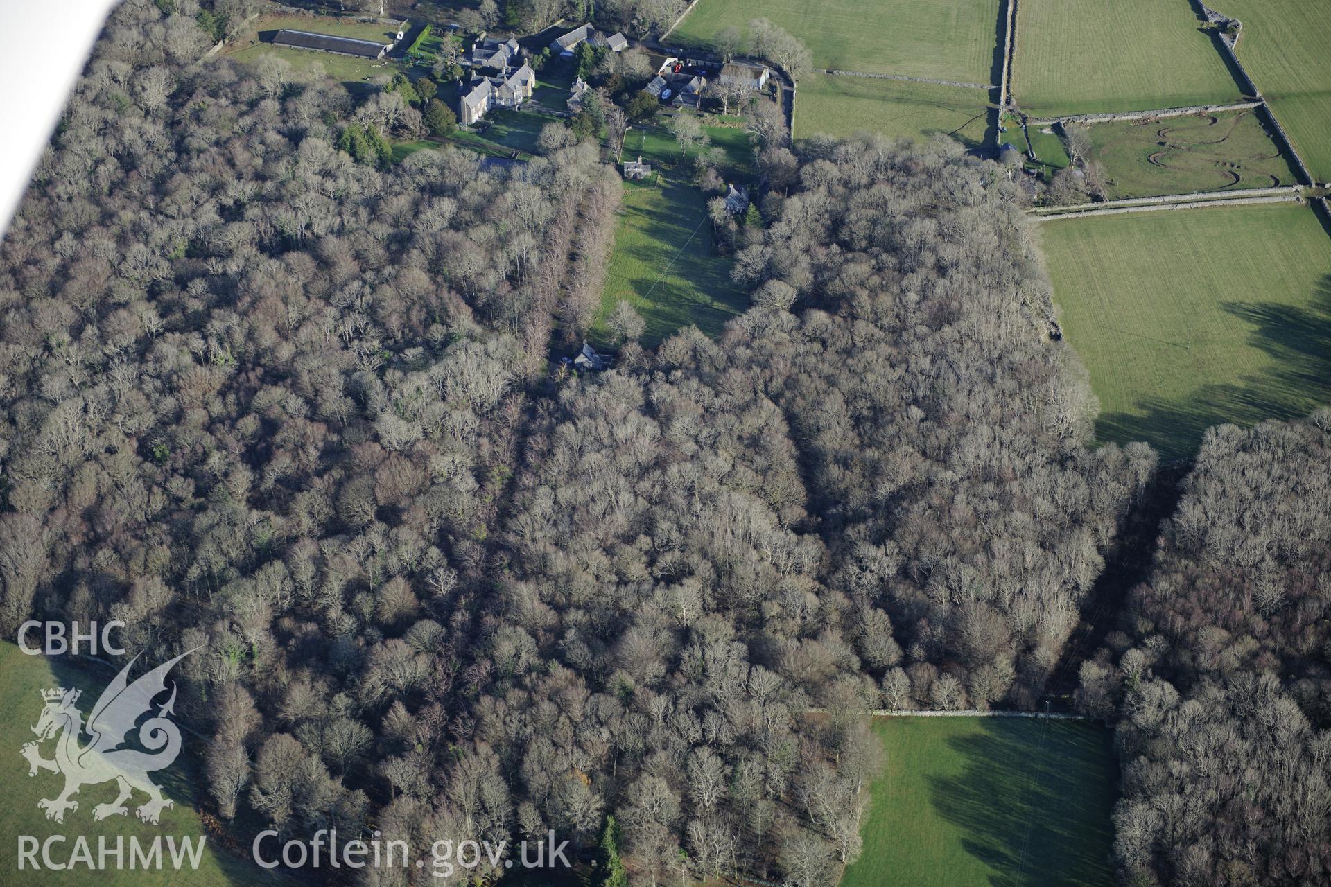 RCAHMW colour oblique photograph of Cors y Gedol park, avenue from the west. Taken by Toby Driver on 10/12/2012.