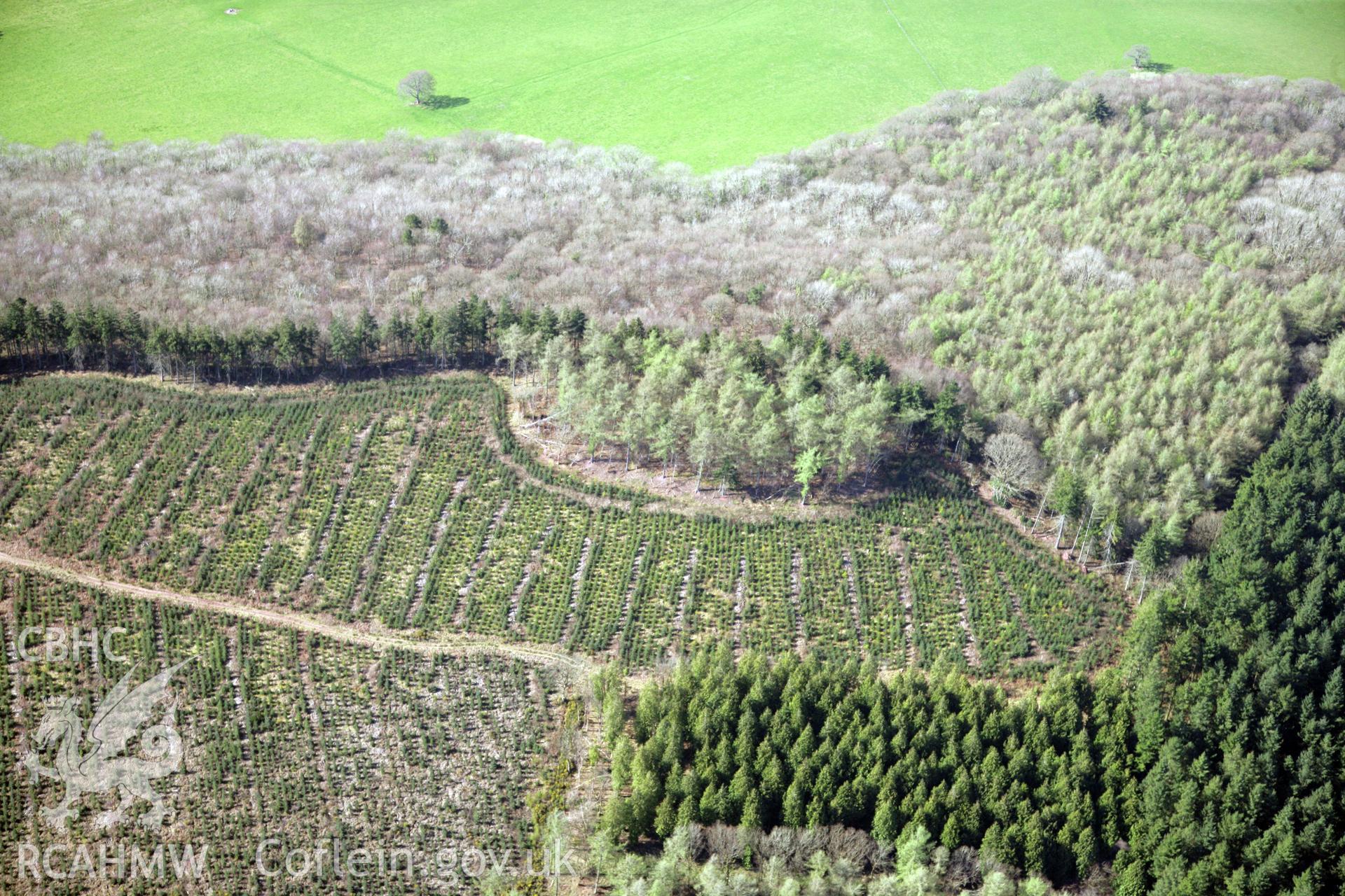 RCAHMW colour oblique photograph of Coed Fenni-Fach camp. Taken by Toby Driver and Oliver Davies on 28/03/2012.