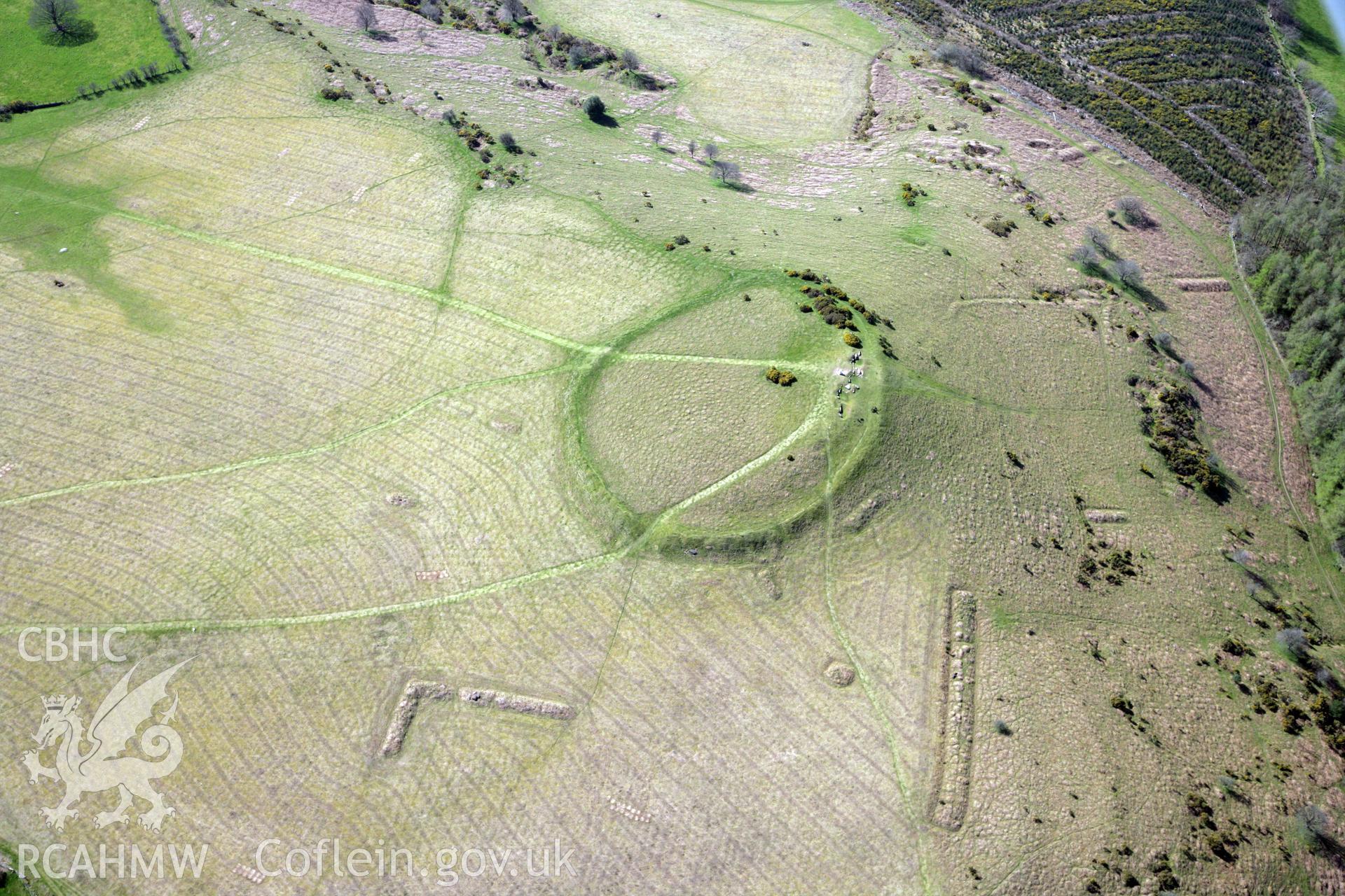 RCAHMW colour oblique photograph of Twyn y Gaer hillfort, and pillow mounds. Taken by Toby Driver and Oliver Davies on 28/03/2012.