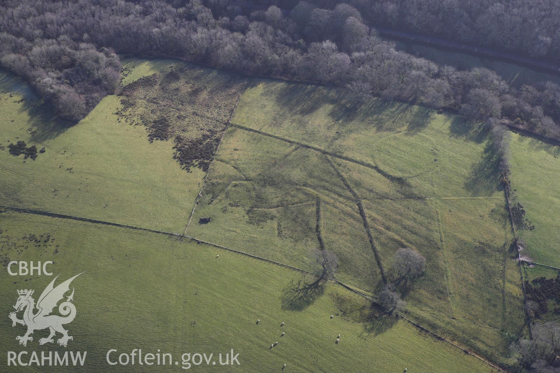 RCAHMW colour oblique photograph of Middleton Hall Park, tree planting circles north-west of Clearbrook woods. Taken by Toby Driver on 27/01/2012.