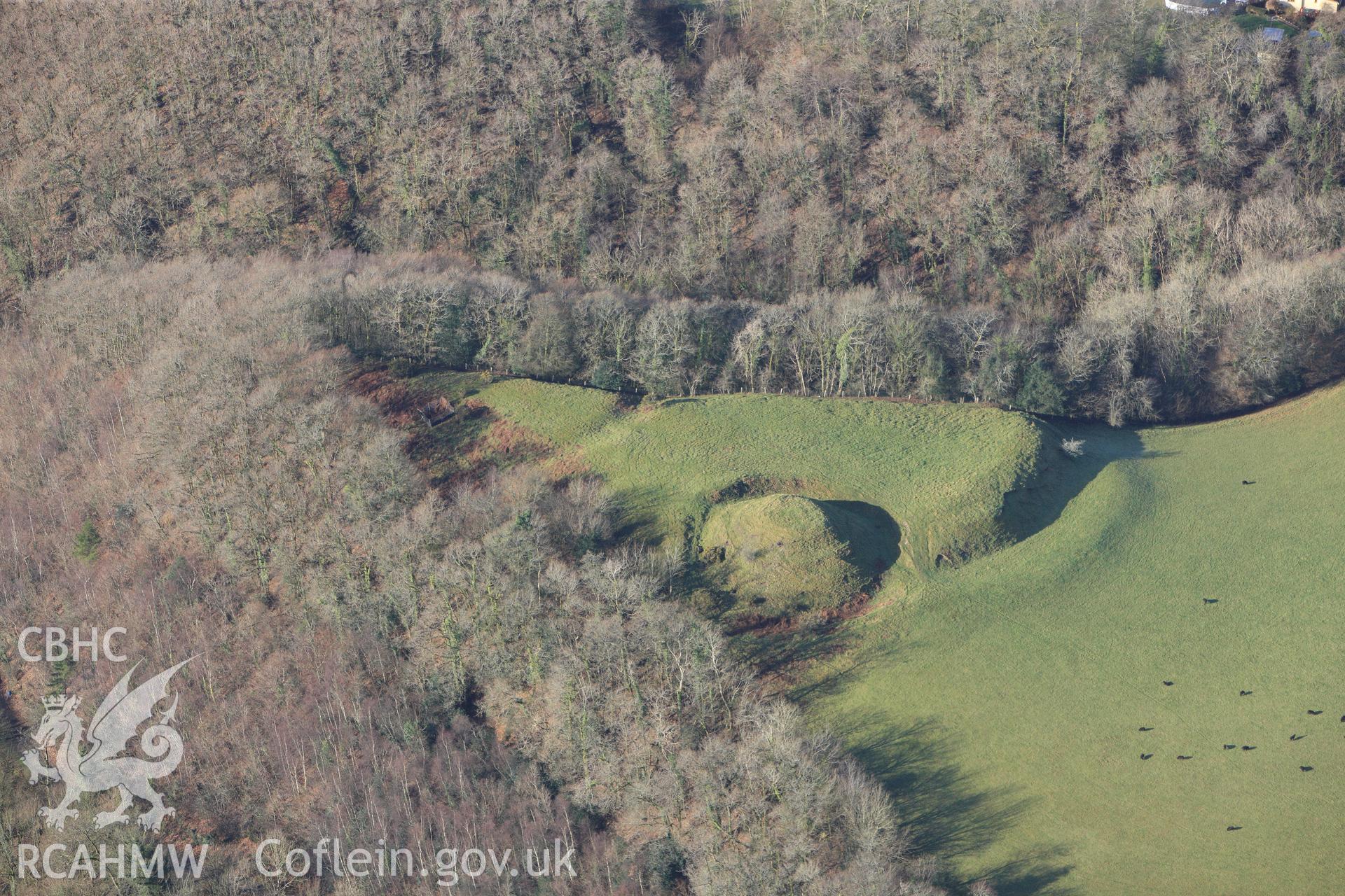 RCAHMW colour oblique photograph of Allt y Ferin, earthwork castle. Taken by Toby Driver on 27/01/2012.